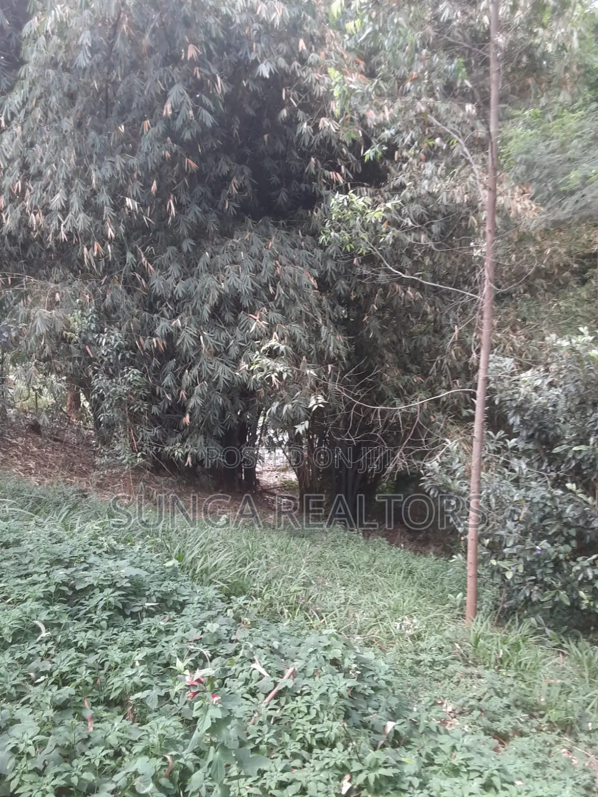 0.5 Acre Plot in Old Kitisuru for Sale in Spring Valley