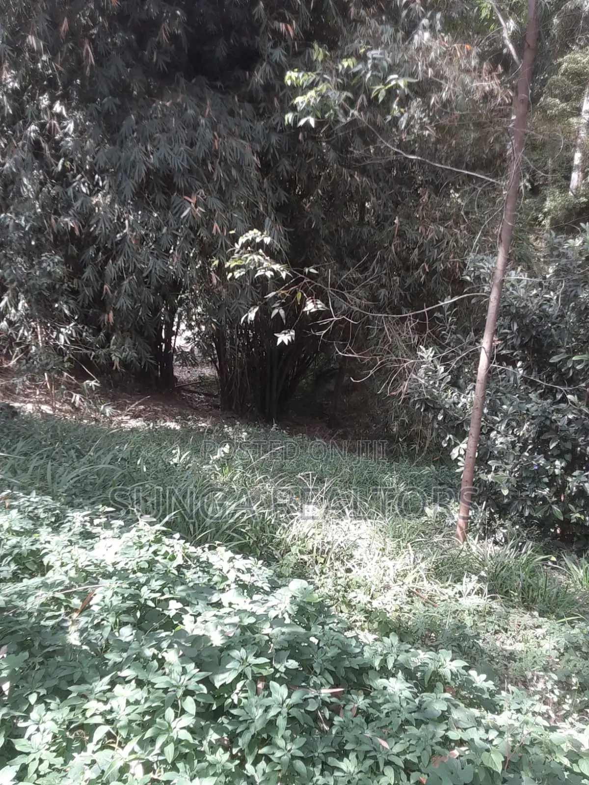0.5 Acre Plot in Old Kitisuru for Sale in Spring Valley