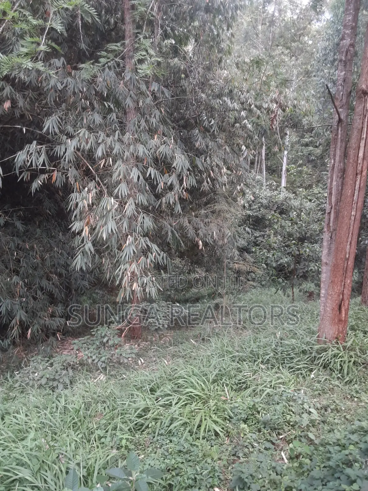 0.5 Acre Plot in Old Kitisuru for Sale in Spring Valley