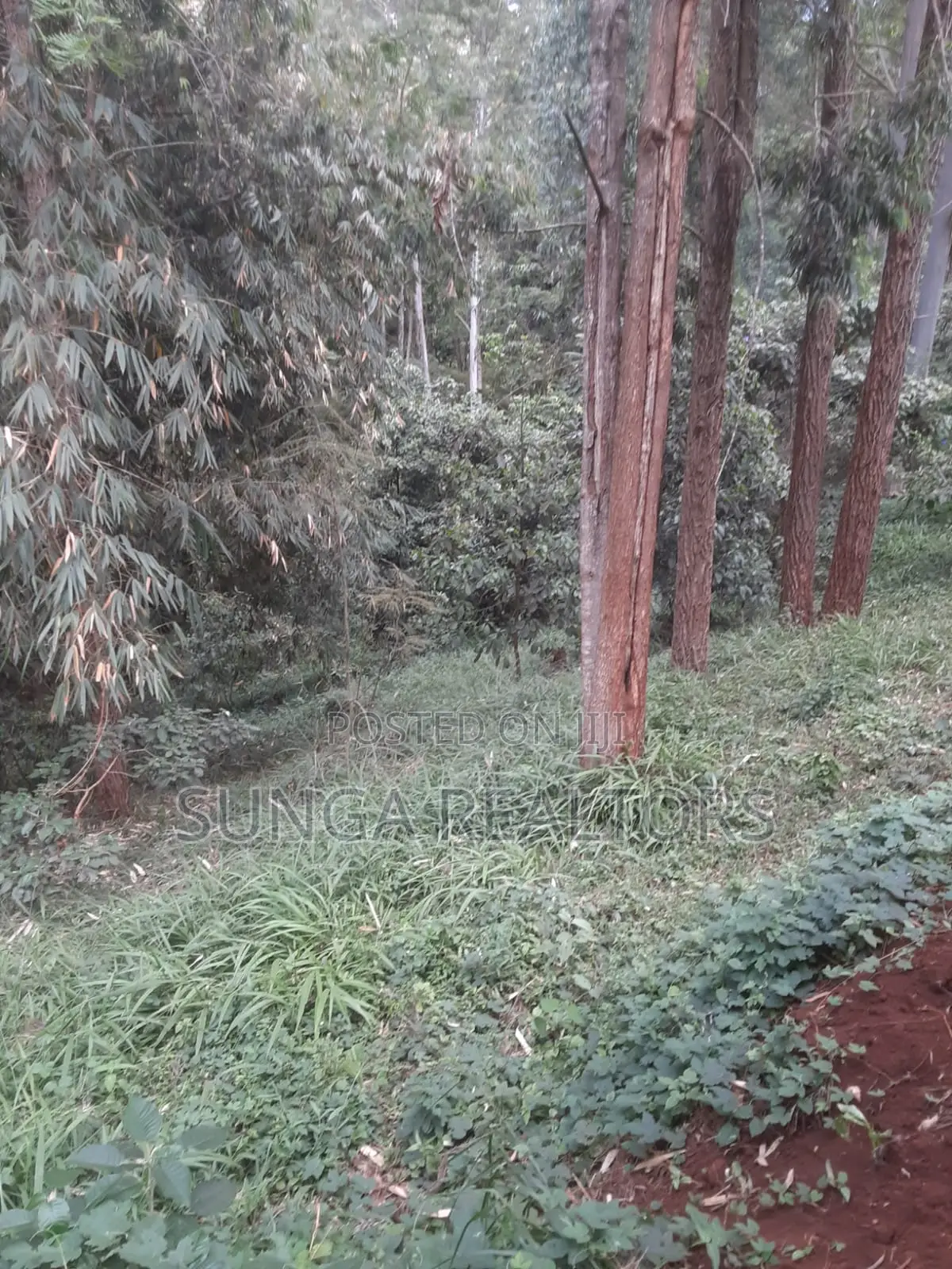 0.5 Acre Plot in Old Kitisuru for Sale in Spring Valley