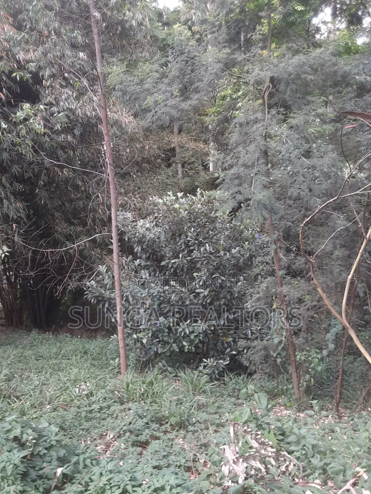 0.5 Acre Plot in Old Kitisuru for Sale in Spring Valley