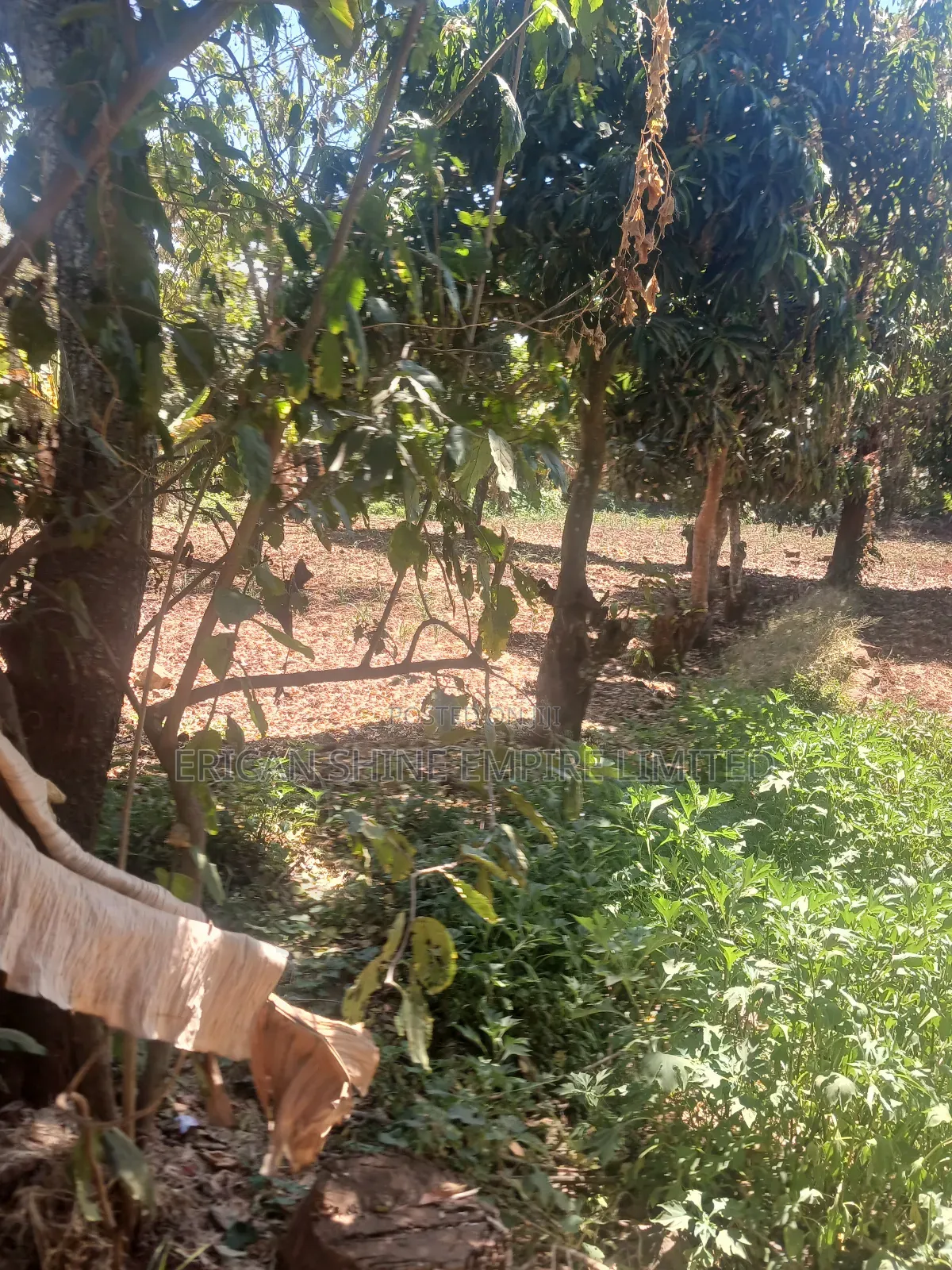 The Prime Land for Lease in Waiyaki Way in Muthiga