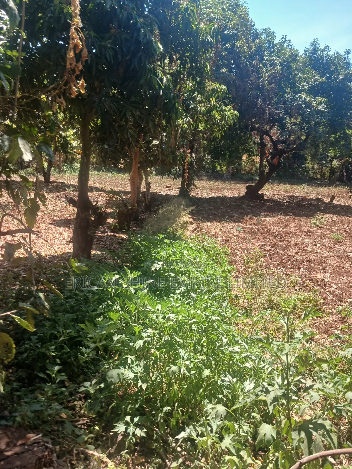 The Prime Land for Lease in Waiyaki Way in Muthiga