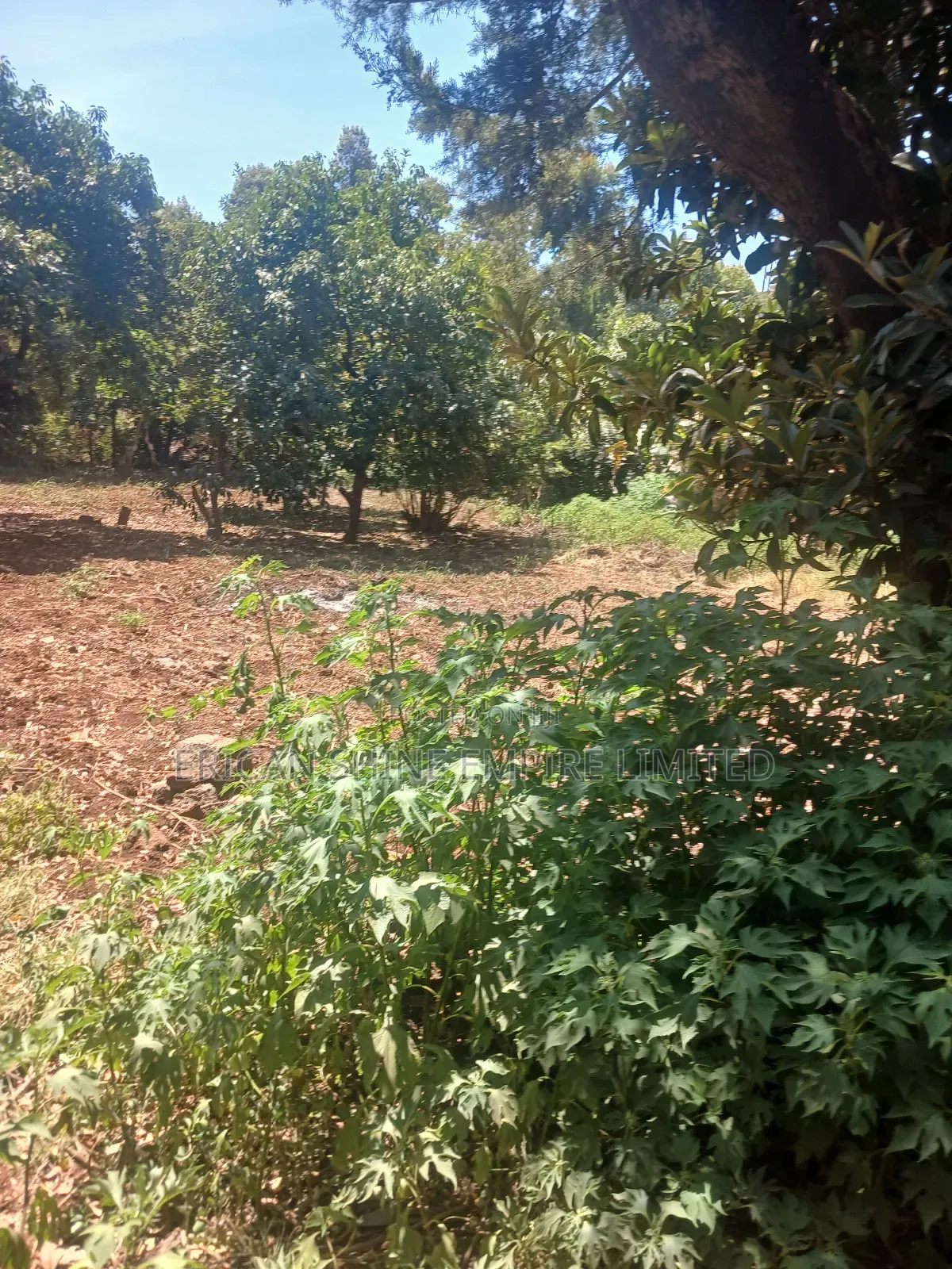 The Prime Land for Lease in Waiyaki Way in Muthiga