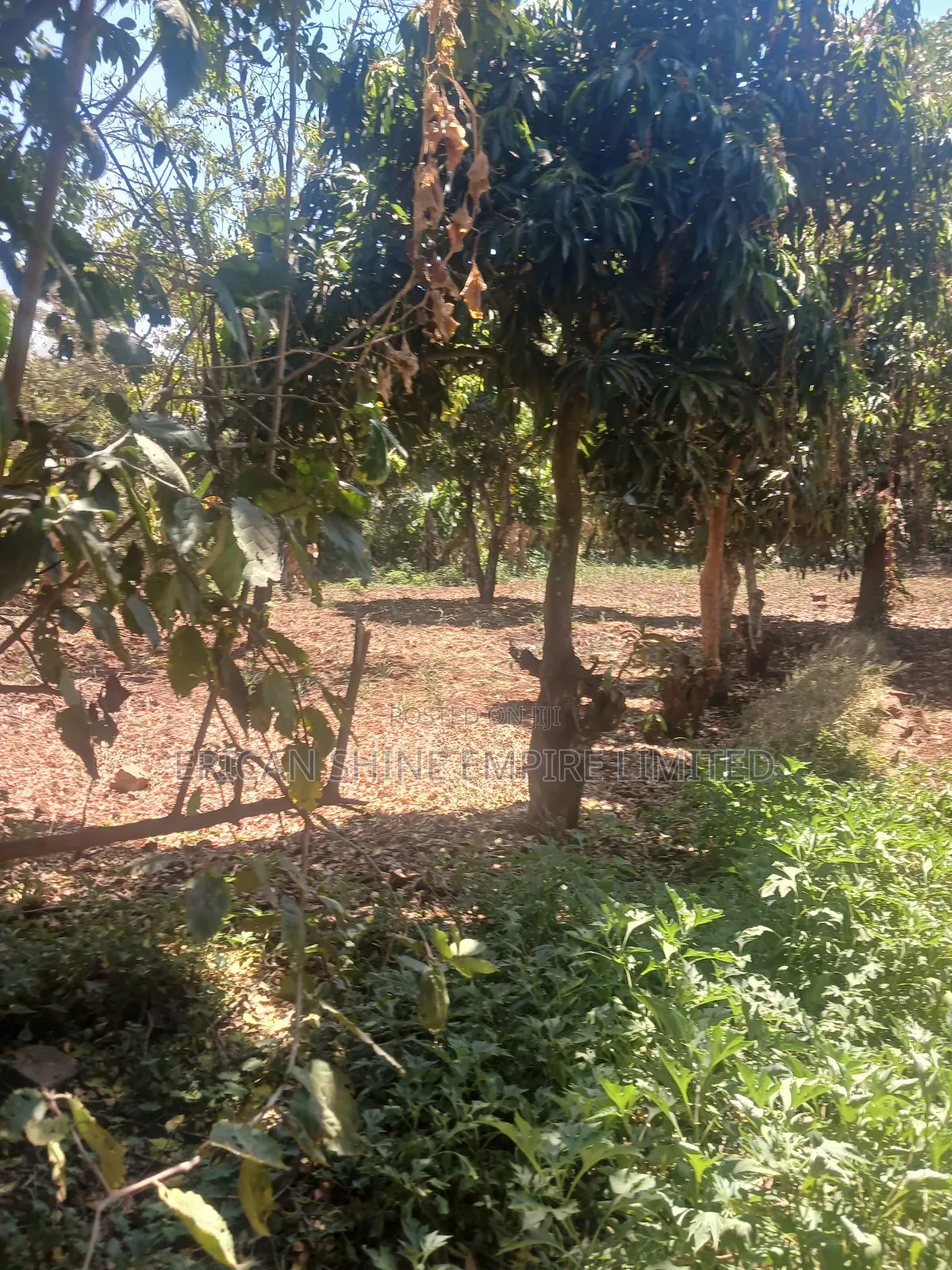The Prime Land for Lease in Waiyaki Way in Muthiga