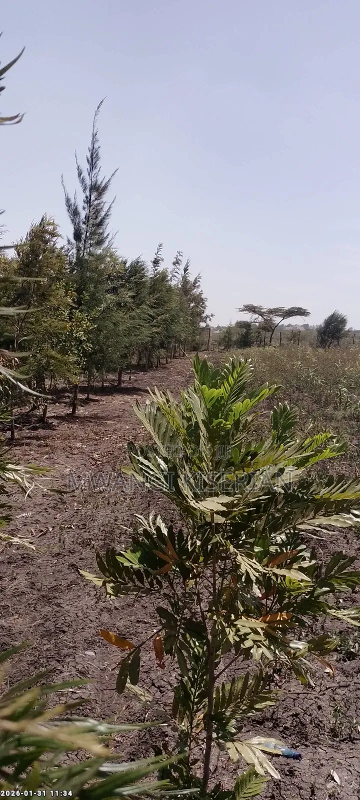 2 Acres Best for Subdivision for Sale in Kiserian in Ol Keri
