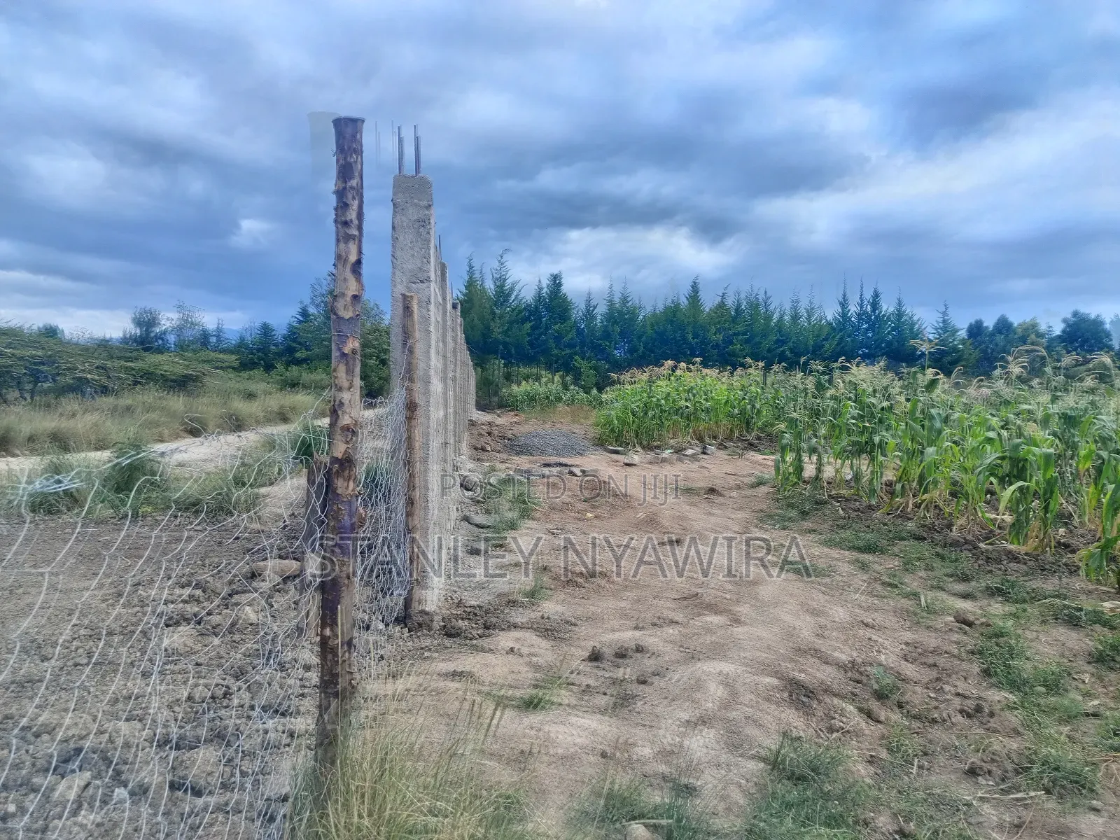 4 Acreas Nanyuki for Sale in Laikipia East