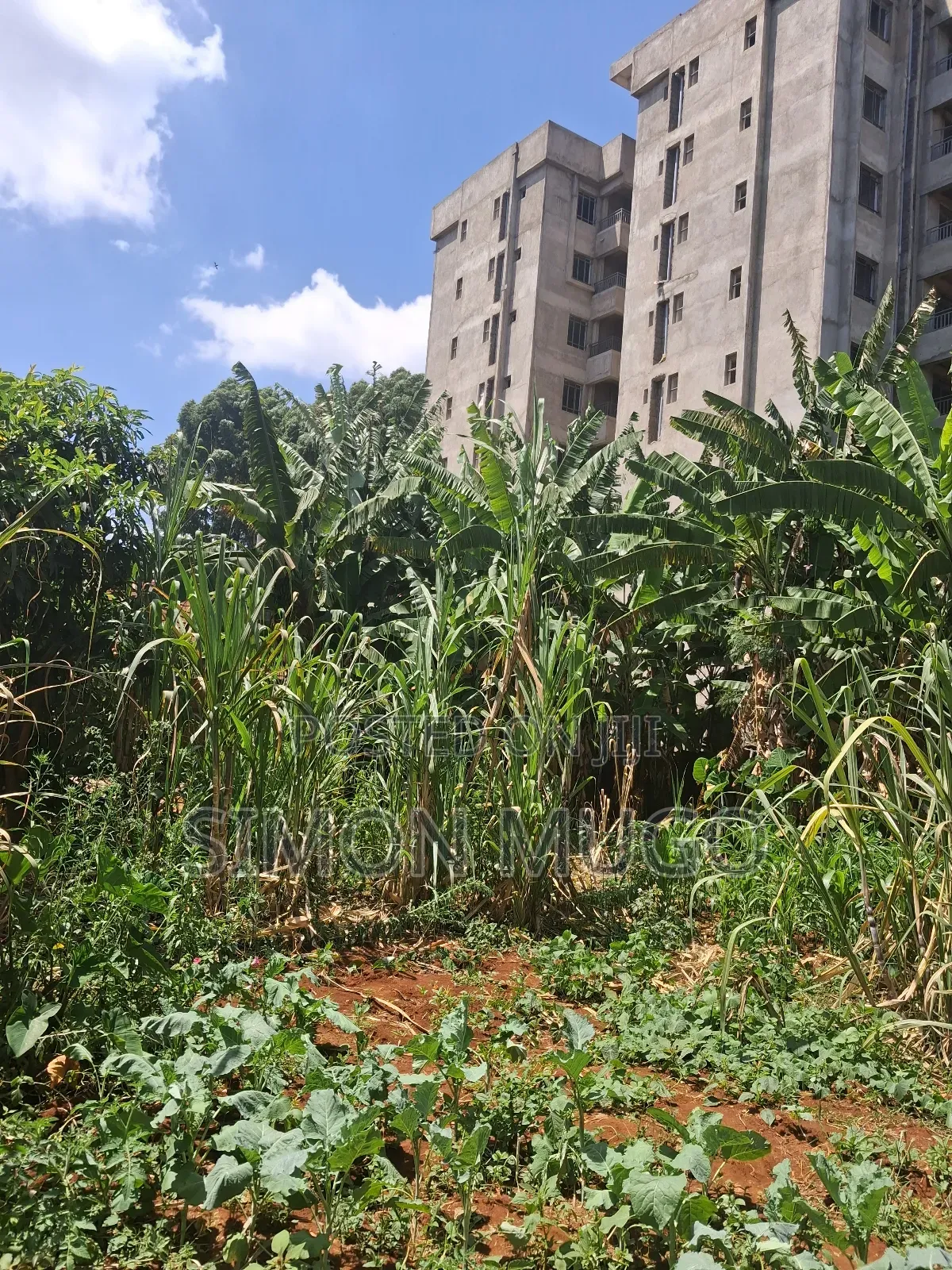 Roysambu Thika Road Behind TRM Commercial 40x80 Plot in Roysambu