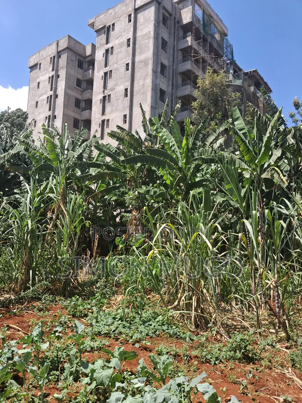 Roysambu Thika Road Behind TRM Commercial 40x80 Plot in Roysambu