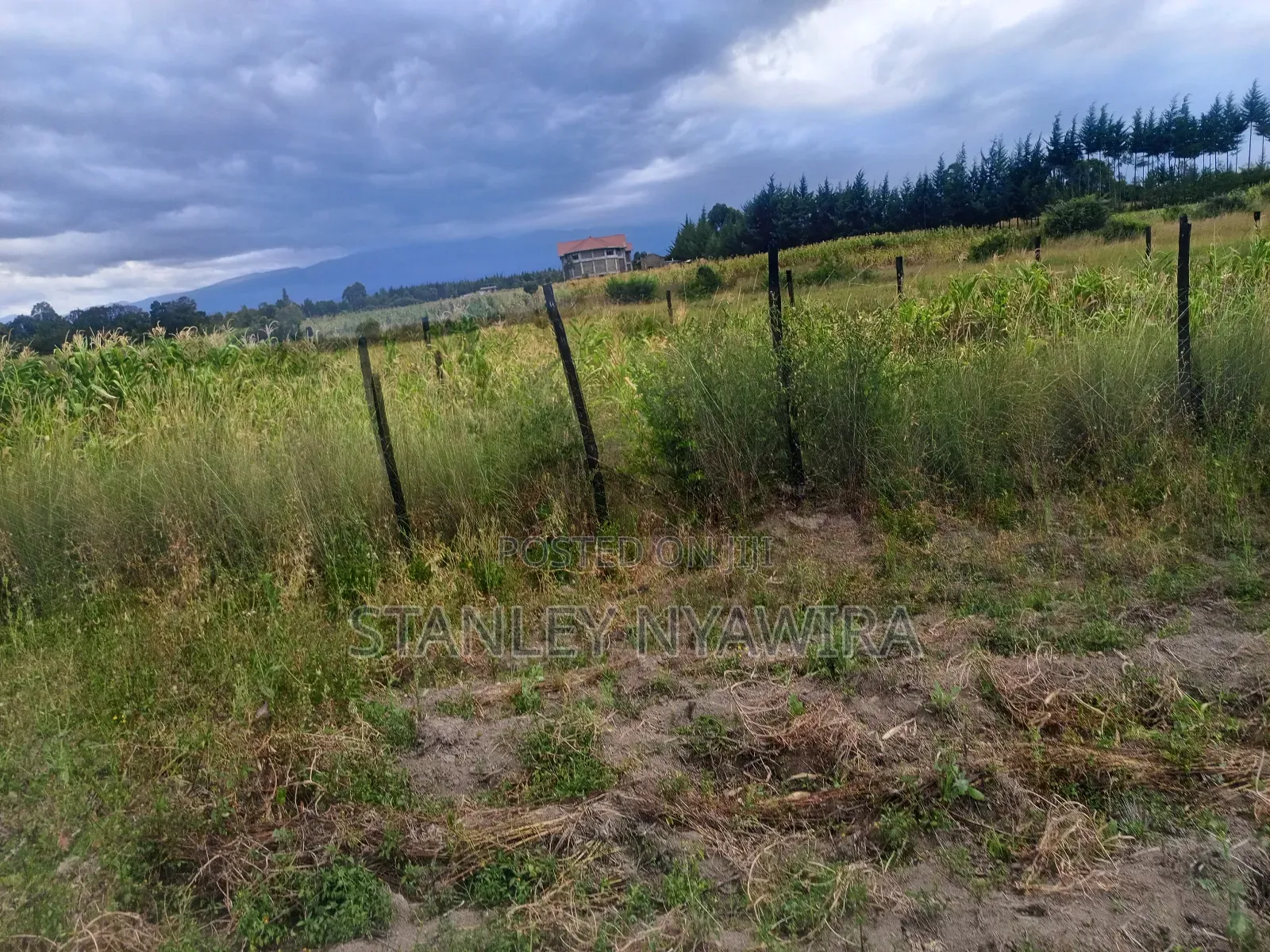 4 Acreas Nanyuki for Sale in Laikipia East