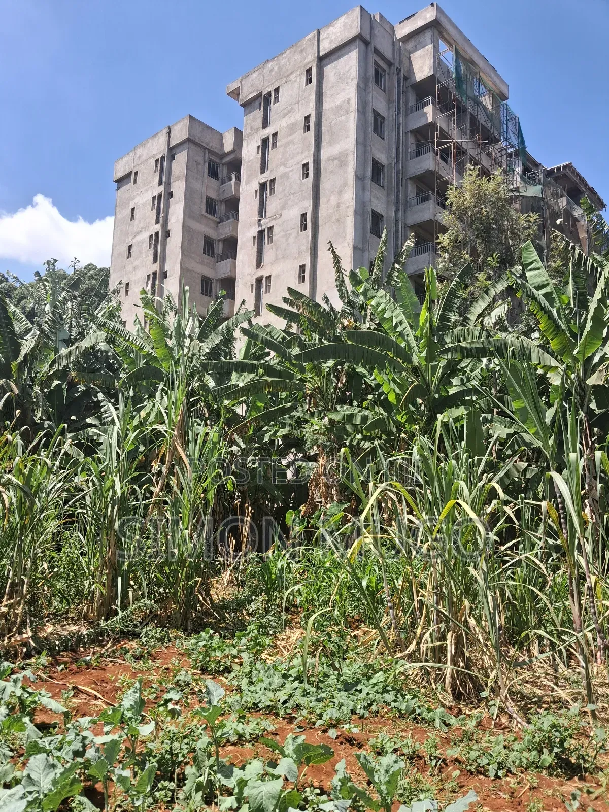 Roysambu Thika Road Behind TRM Commercial 40x80 Plot in Roysambu