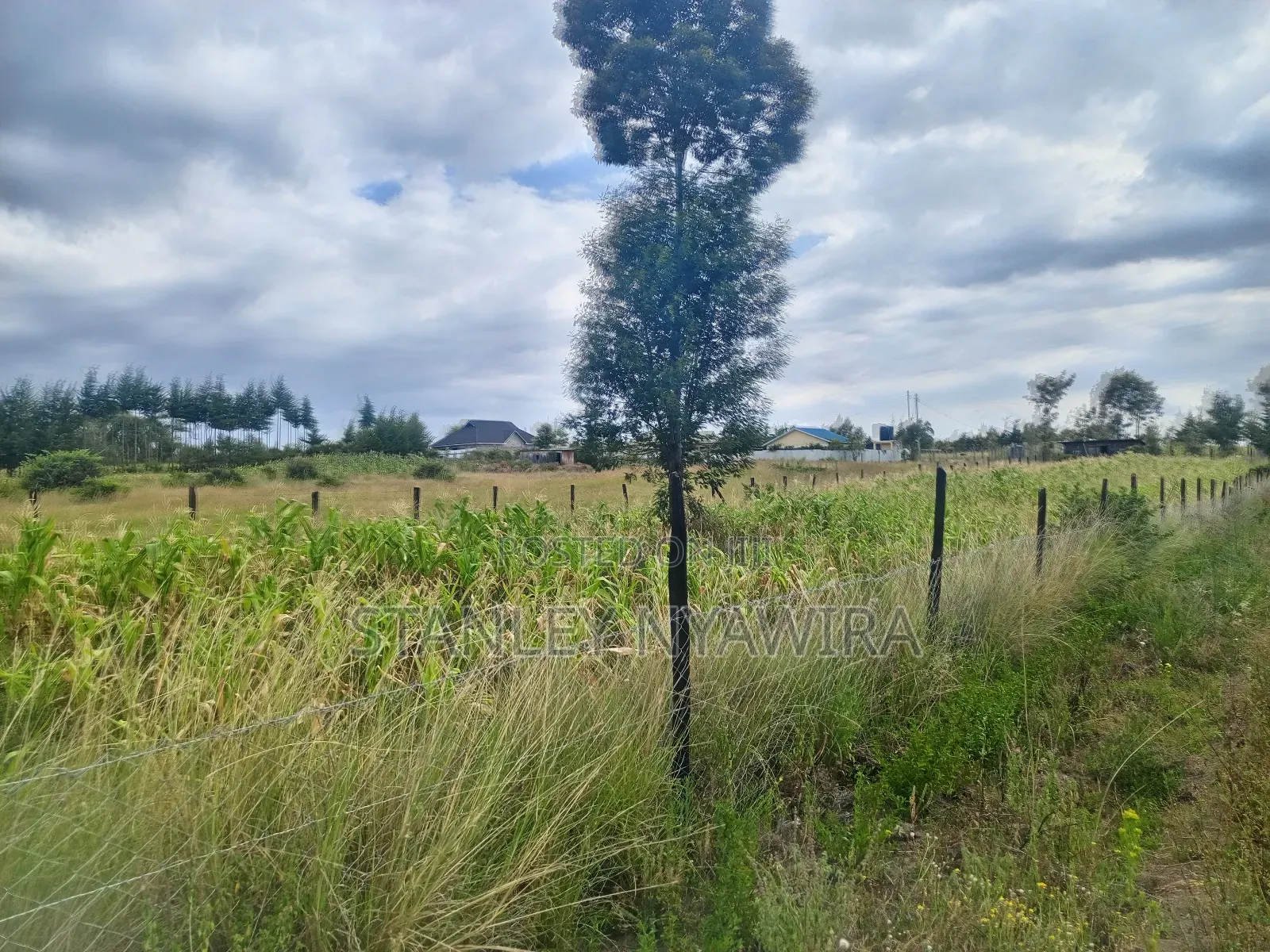 4 Acreas Nanyuki for Sale in Laikipia East