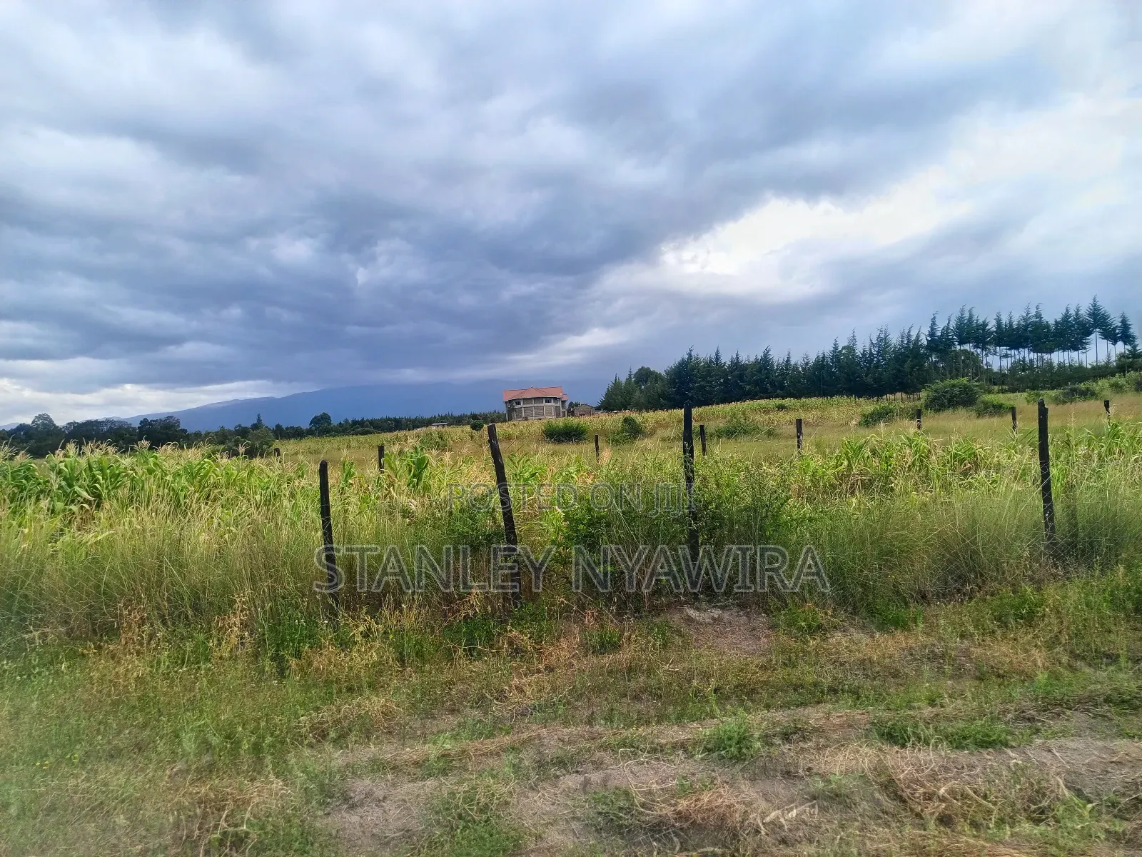 4 Acreas Nanyuki for Sale in Laikipia East