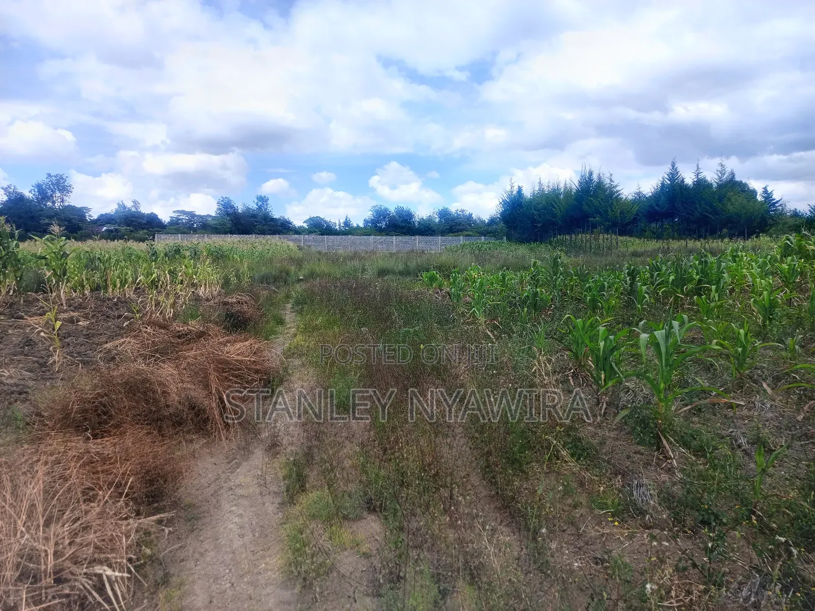 4 Acreas Nanyuki for Sale in Laikipia East
