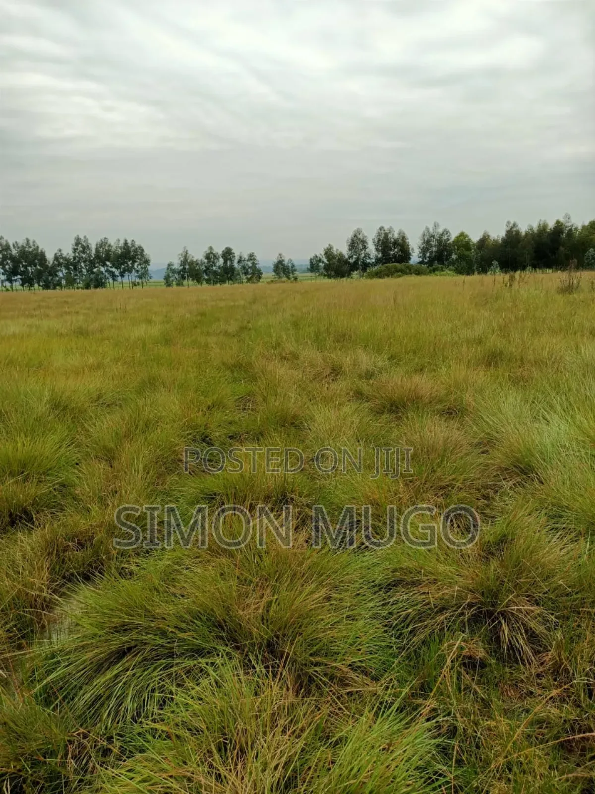 Nyahururu Mairu Inya Prime Agricultural 25 Acres on Tarmac Road in Nyahururu
