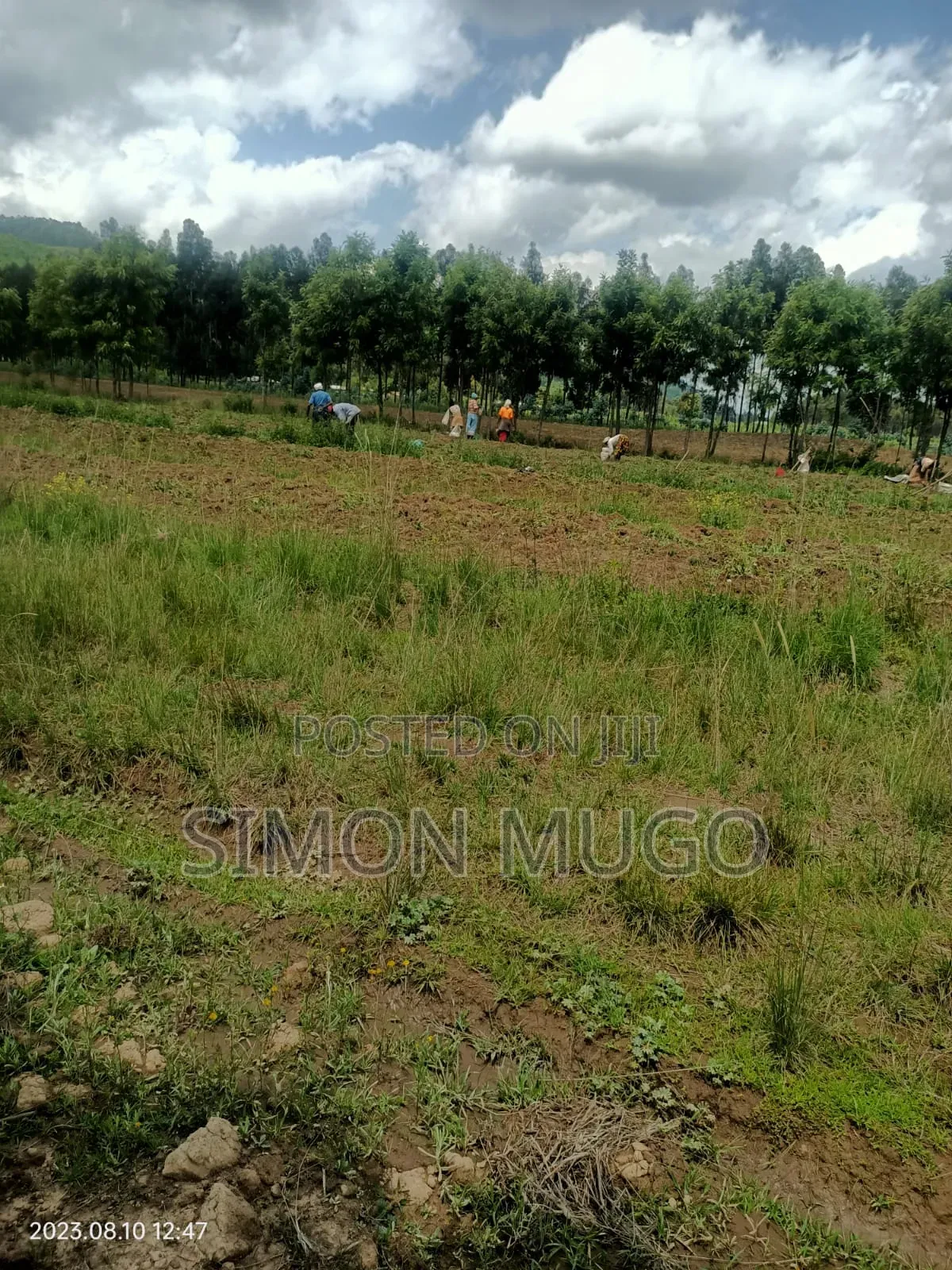 Nyahururu Mairu Inya Prime Agricultural 25 Acres on Tarmac Road in Nyahururu