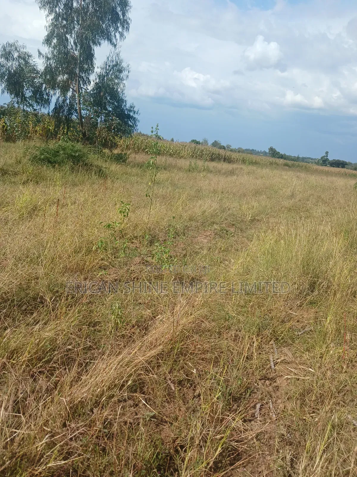 2 Acres Prime Land for Sale in Ngarua -Kinamba in Kinamba