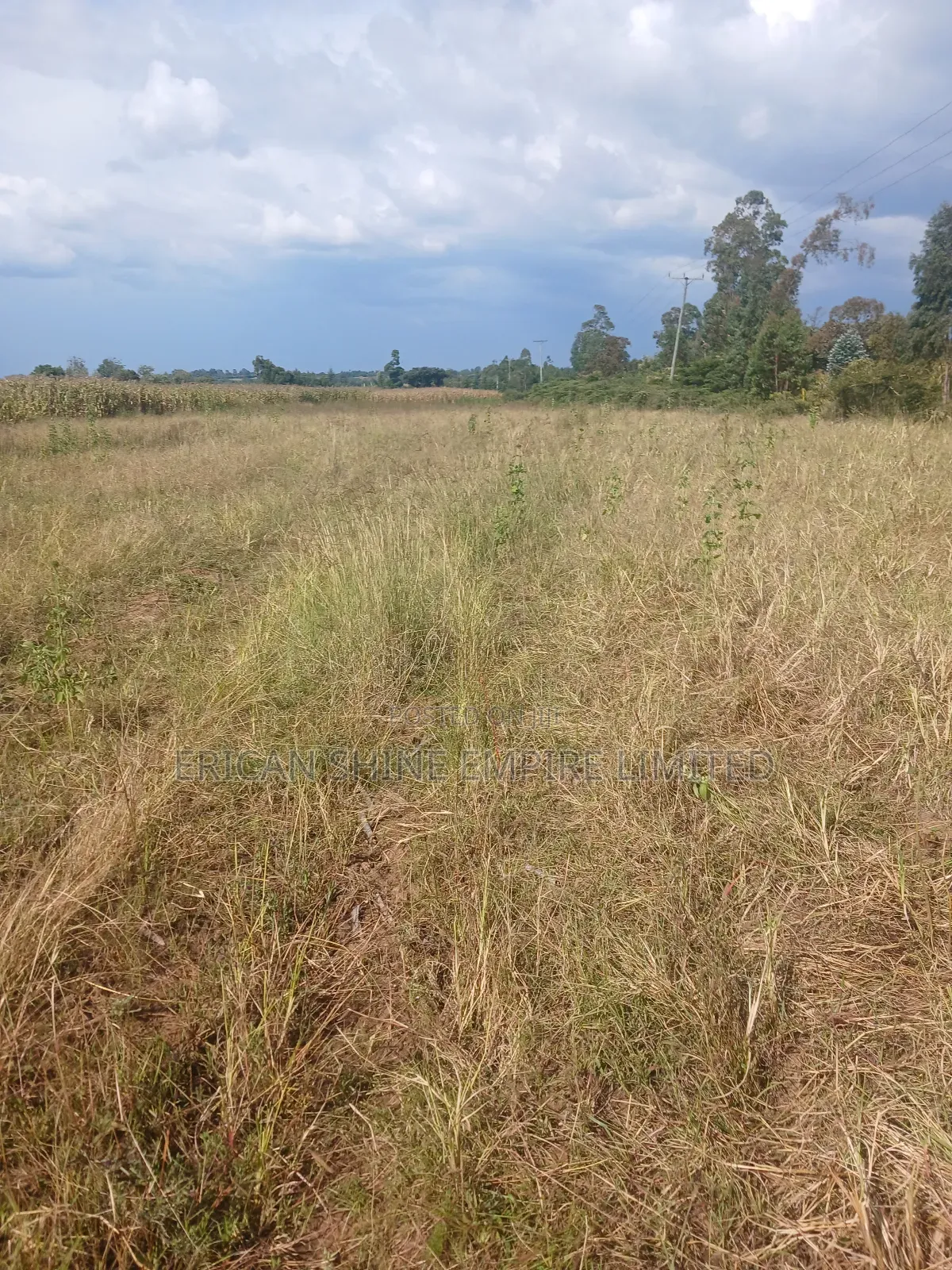 2 Acres Prime Land for Sale in Ngarua -Kinamba in Kinamba
