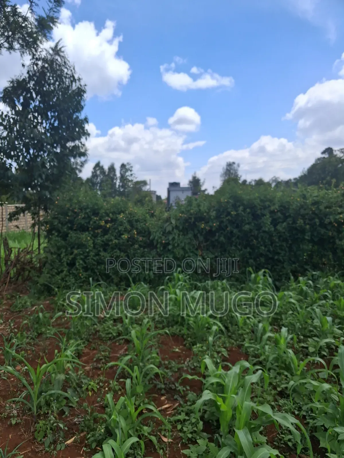 Kitsuru Prime Fairy Flat 10 Acres Near Kihingo Estate in Westlands