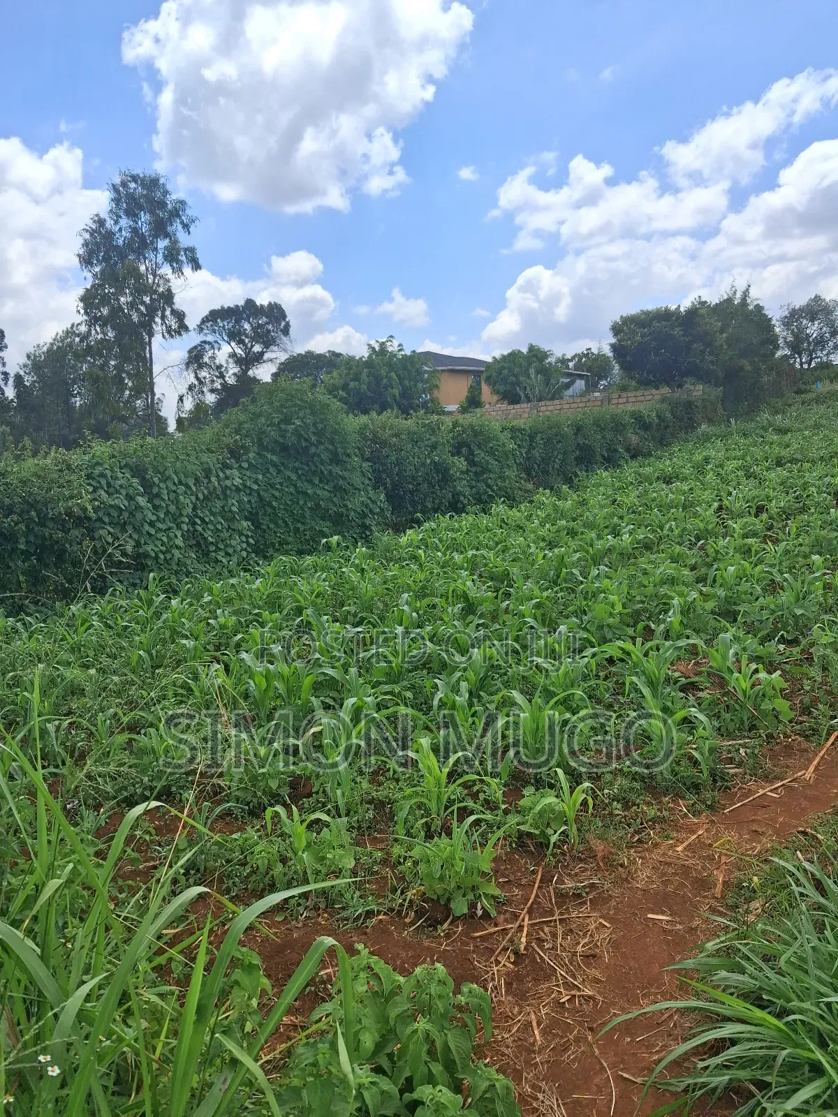 Kitsuru Prime Fairy Flat 10 Acres Near Kihingo Estate in Westlands