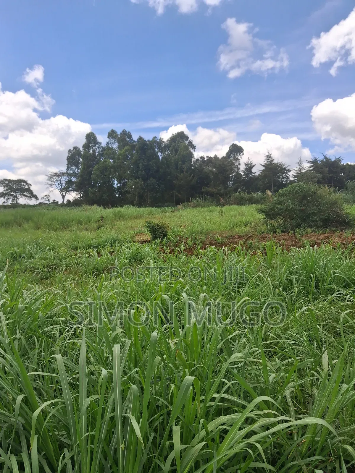 Kitsuru Prime Fairy Flat 10 Acres Near Kihingo Estate in Westlands
