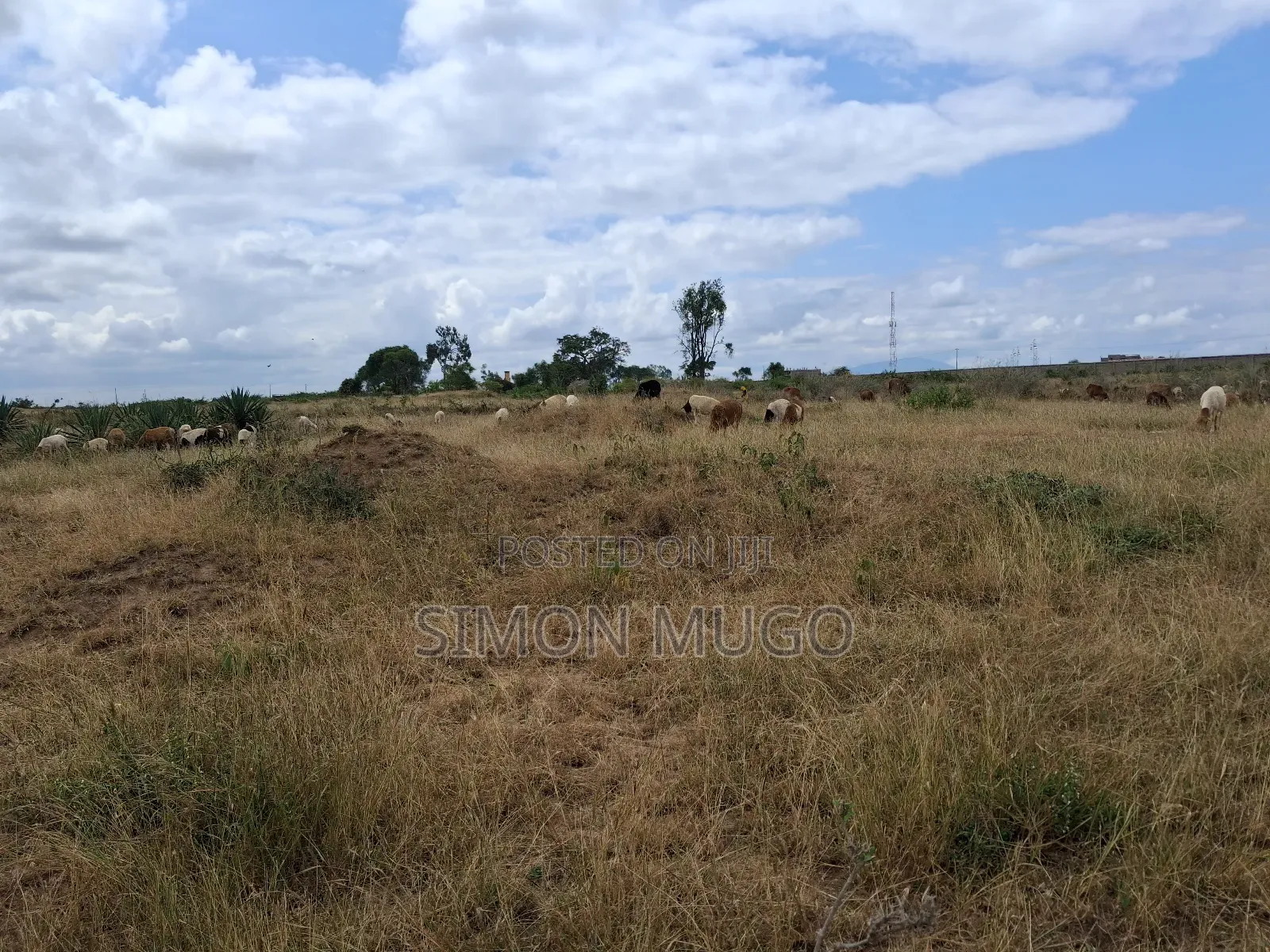 Juja Township Prime Commercial 5 Acre Ideal for Godown in Juja