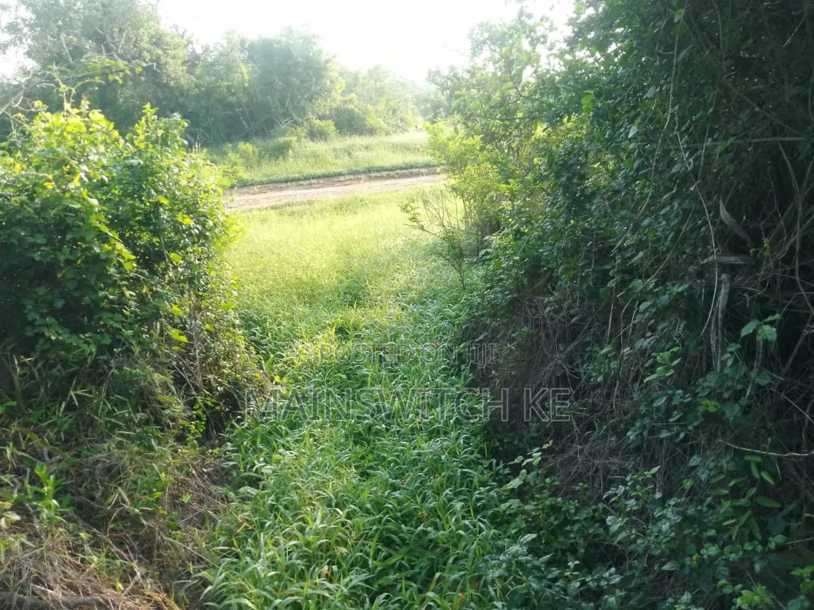 150 Acres With Tittle Deed for Sale in Sosoni, Marafa Kilifi County in Magarini