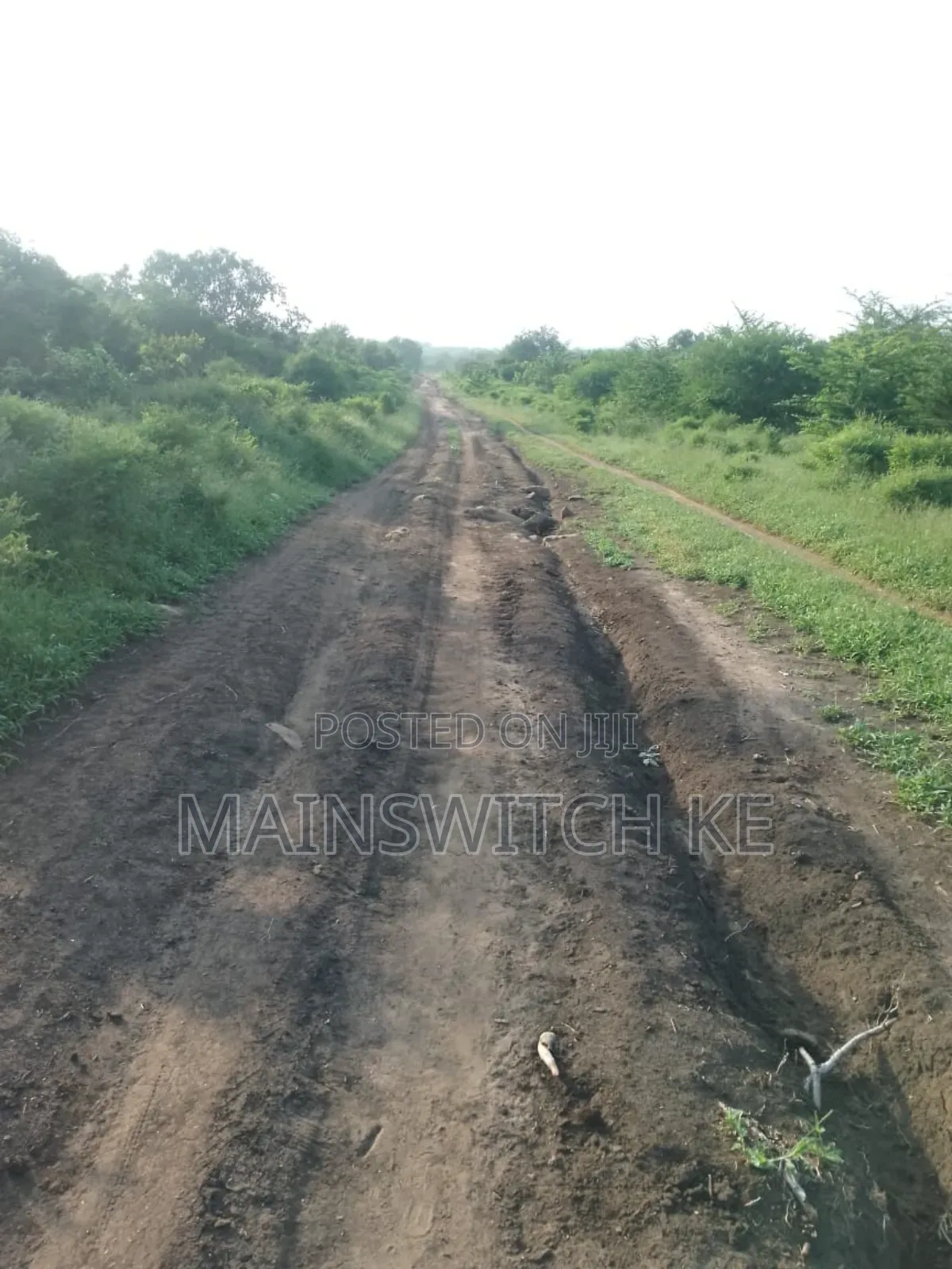 150 Acres With Tittle Deed for Sale in Sosoni, Marafa Kilifi County in Magarini