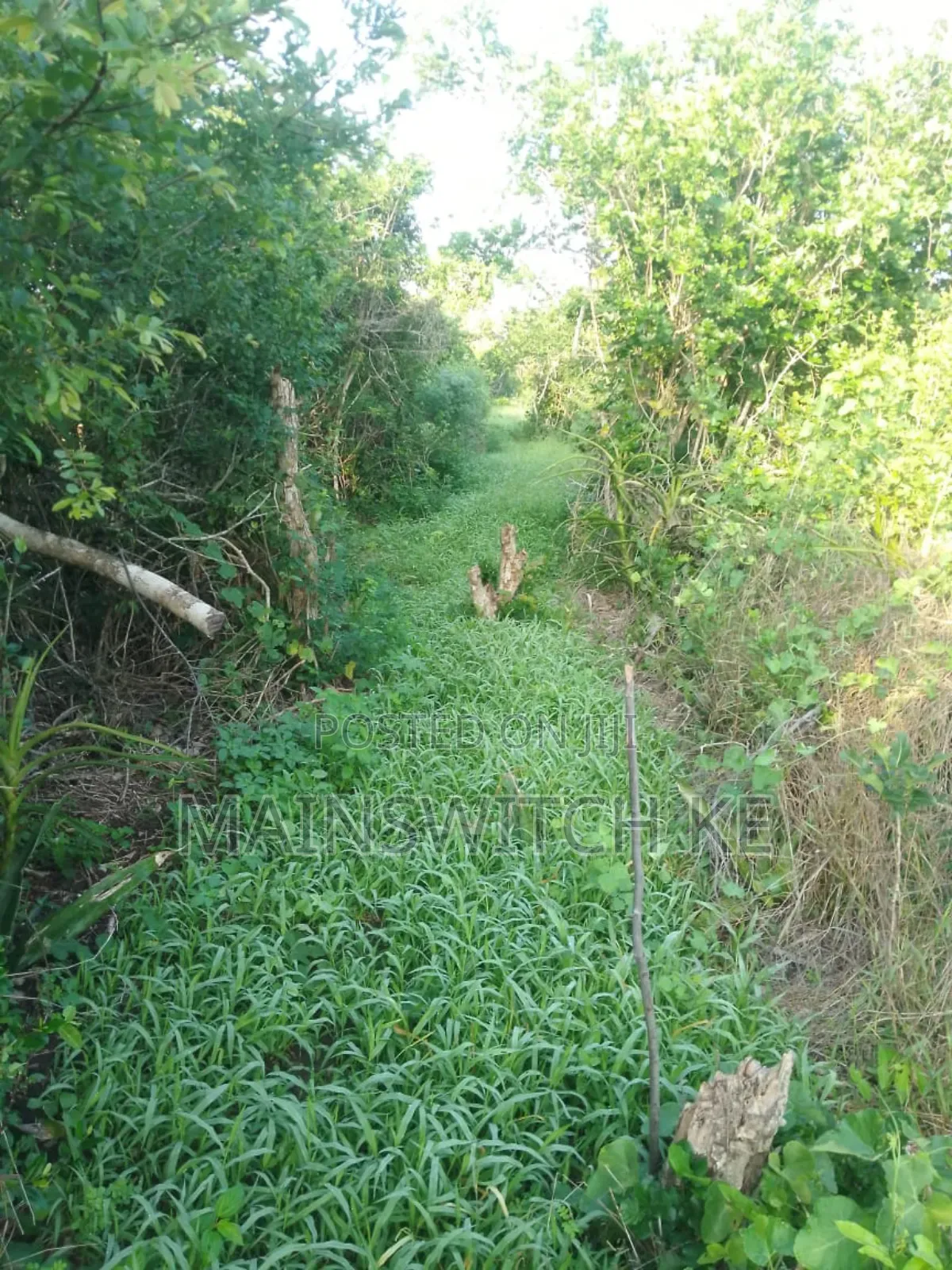 150 Acres With Tittle Deed for Sale in Sosoni, Marafa Kilifi County in Magarini