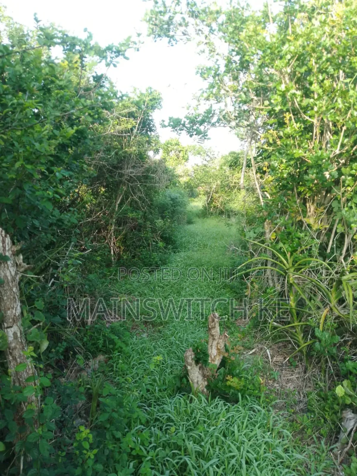 150 Acres With Tittle Deed for Sale in Sosoni, Marafa Kilifi County in Magarini