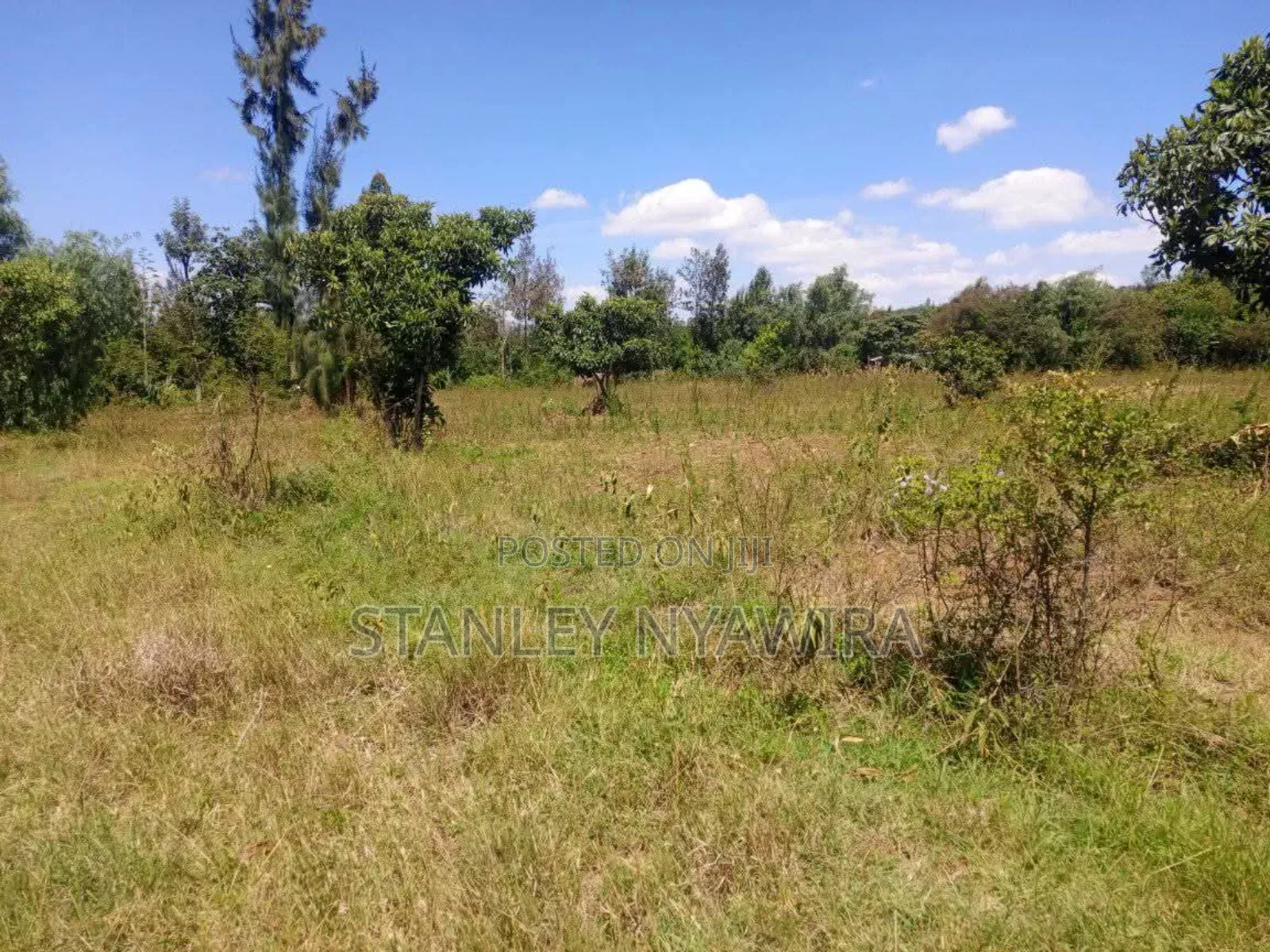 One Acre Nanyuki Mwereri in Laikipia East