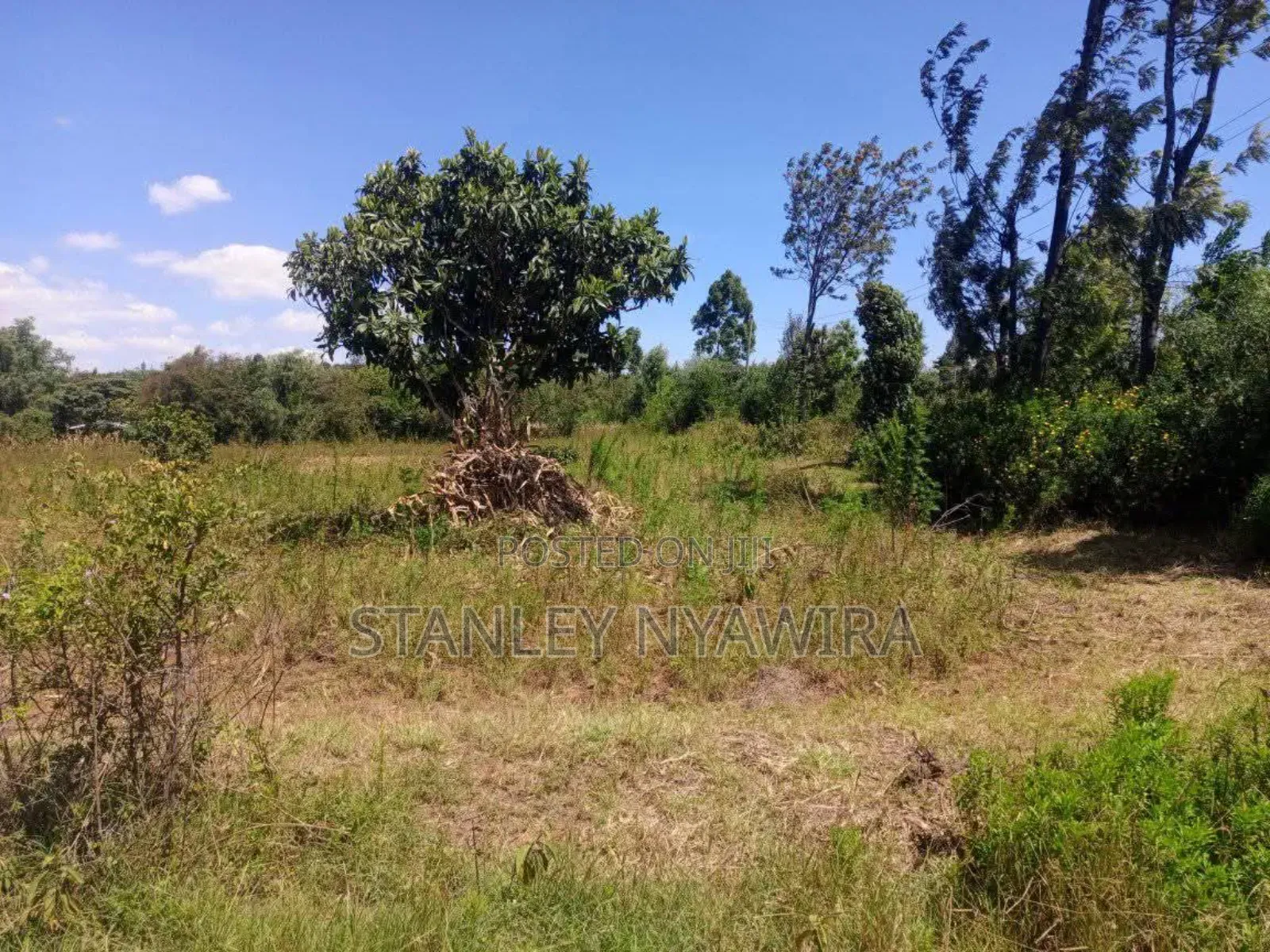 One Acre Nanyuki Mwereri in Laikipia East