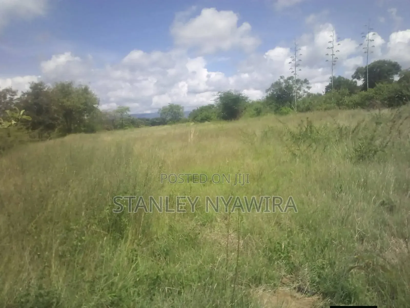 Nanyuki Land for Sale With 5 Bedroom House in Laikipia East
