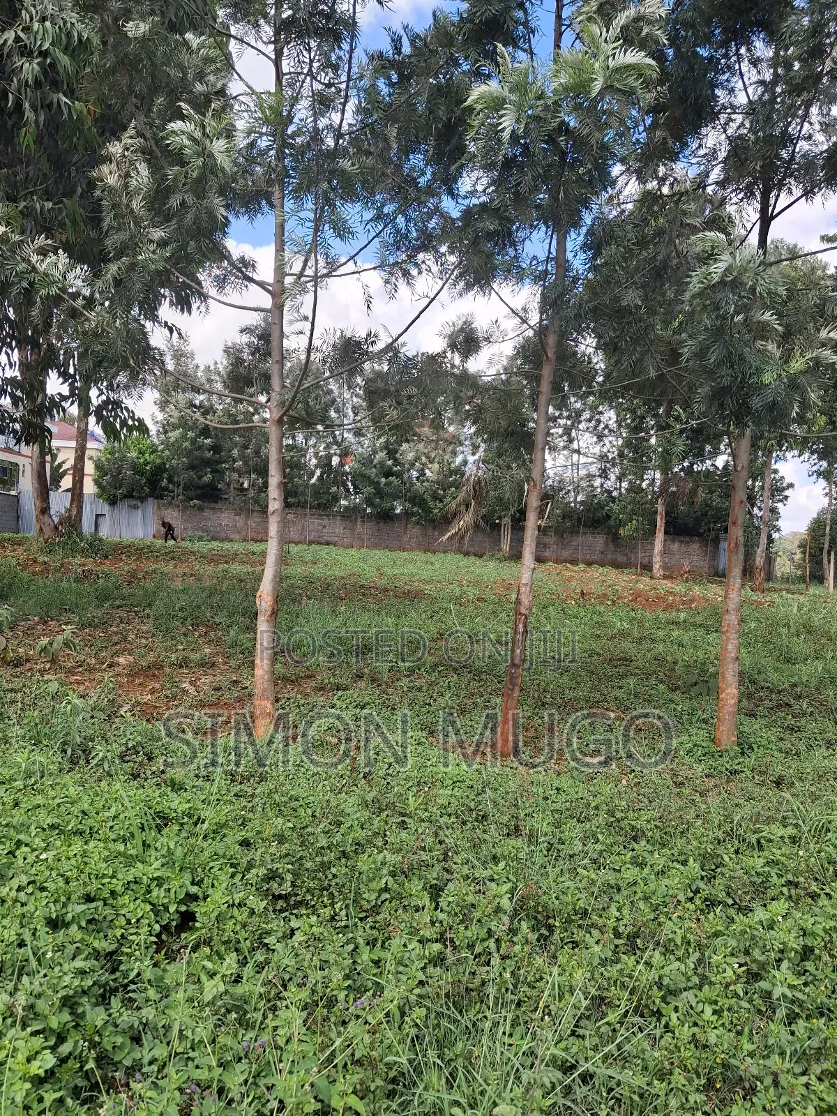 Kiambu Road Valley View Estate Prime Secure Fully Serviced 1/2 Ac in Kiambu / Kiambu 