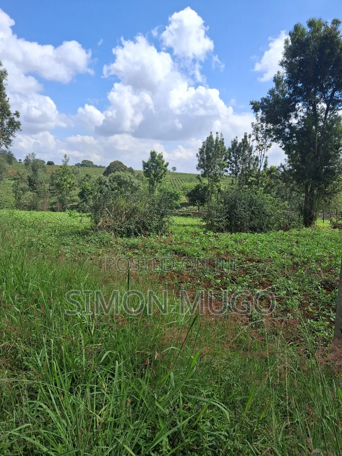 Kiambu Road Valley View Estate Prime Secure Fully Serviced 1/2 Ac in Kiambu / Kiambu 