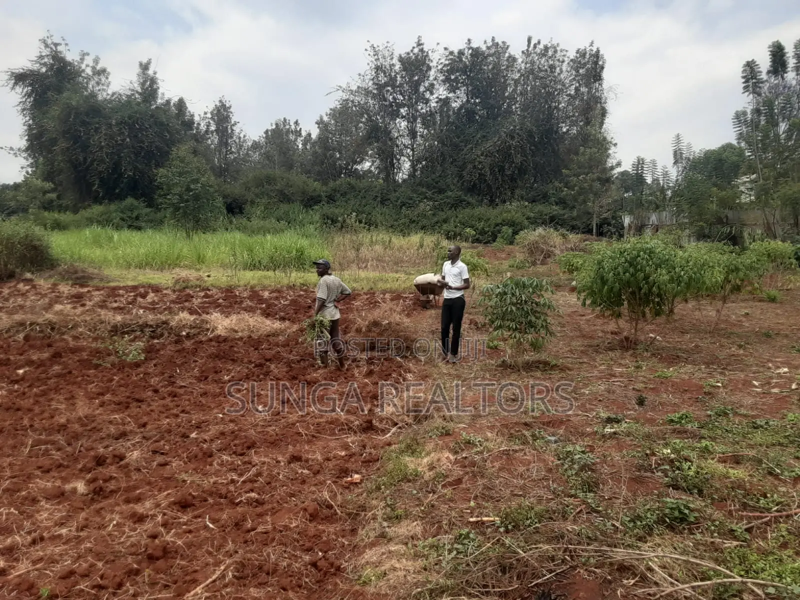 Residential Land for Sale in Kiambu Rd. in Thindigua/Kasarini