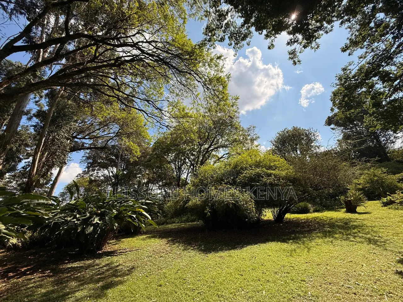 Prime 2.5 Acre Residential Land in Ridgeways