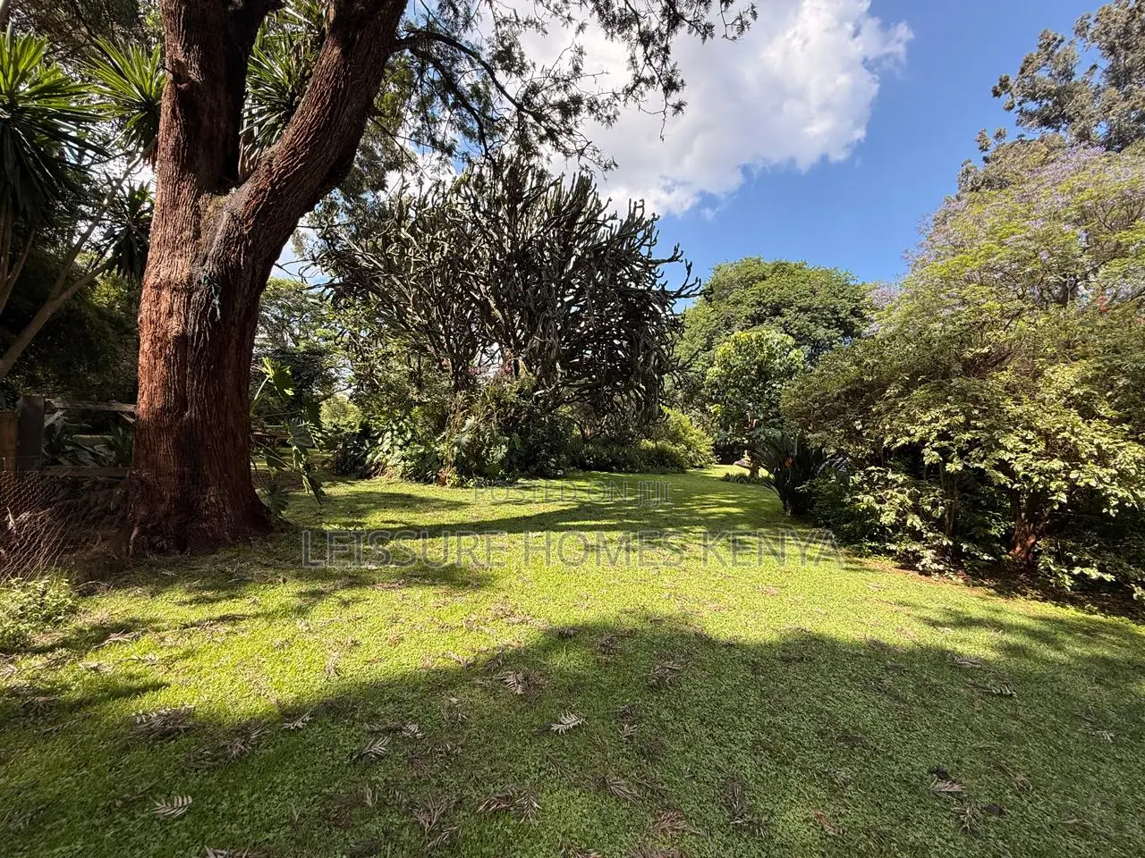 Prime 2.5 Acre Residential Land in Ridgeways