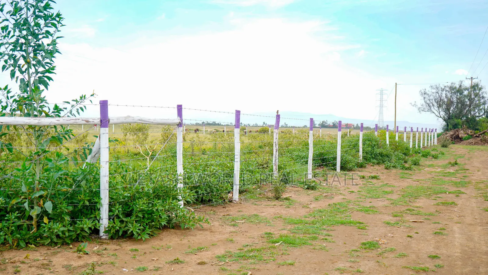 Land in Naivasha for Sale , 580,000 in Cash in Naivasha
