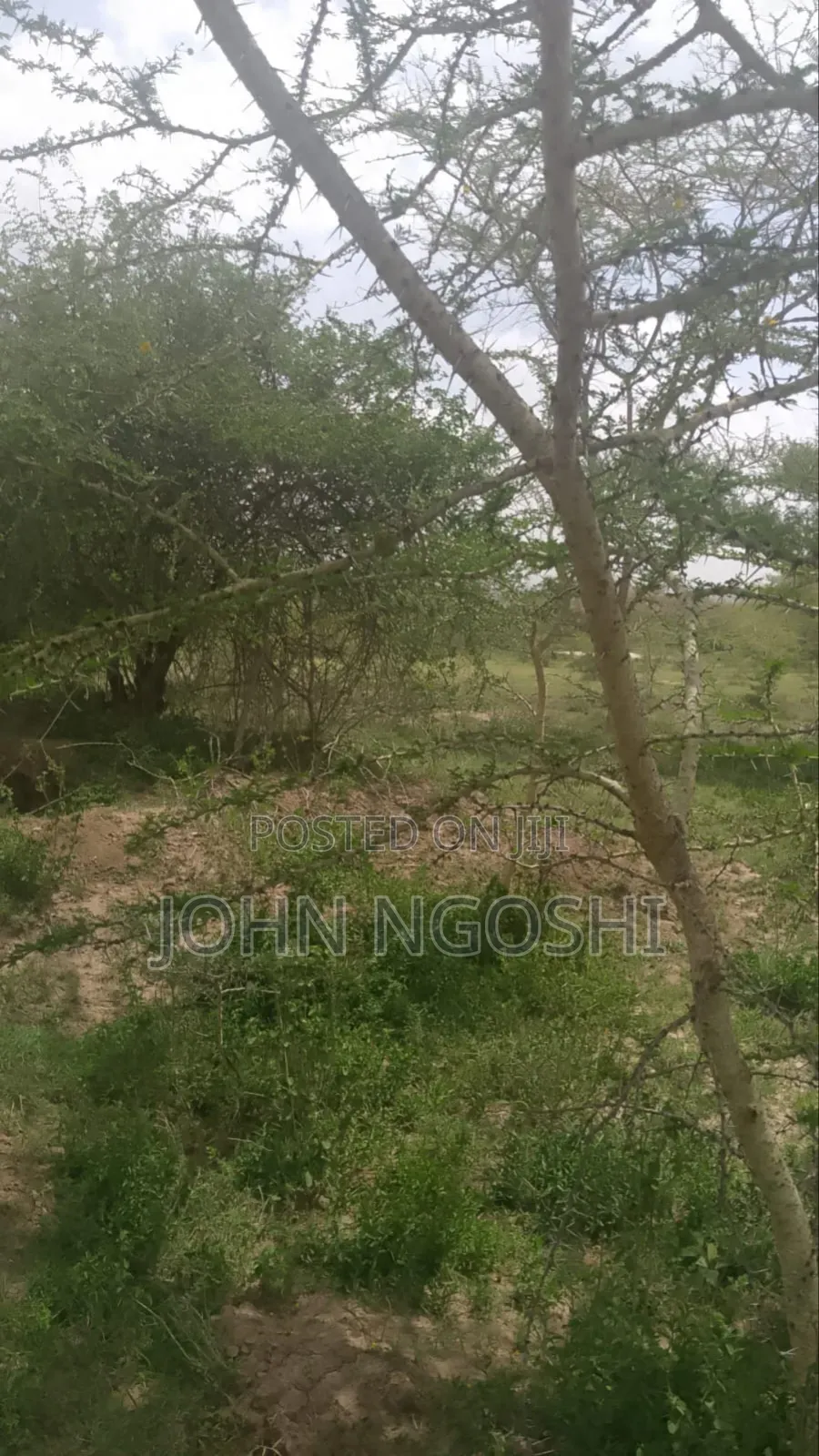 150 Acres on Namanga Rd in Kitengela