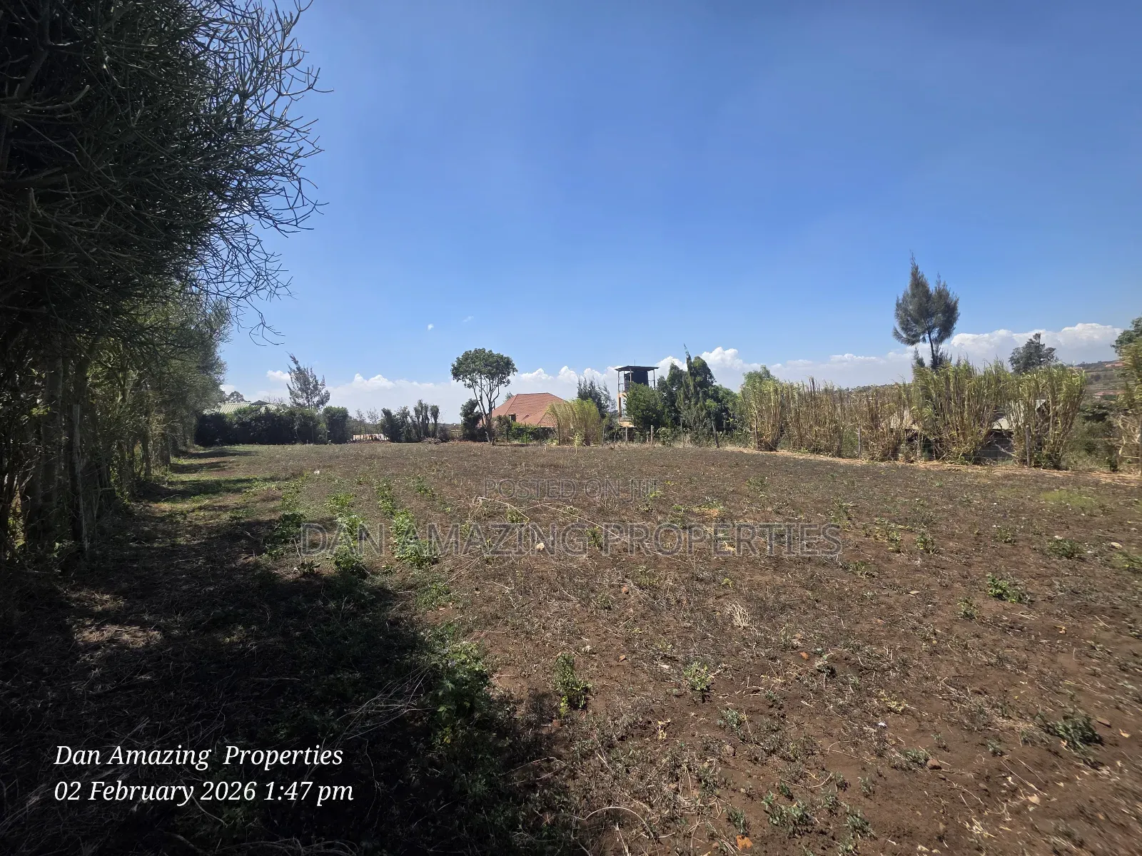 Prime 1/4 Acre Land for Sale in Ngong Kibiko Valley Road in Ngong