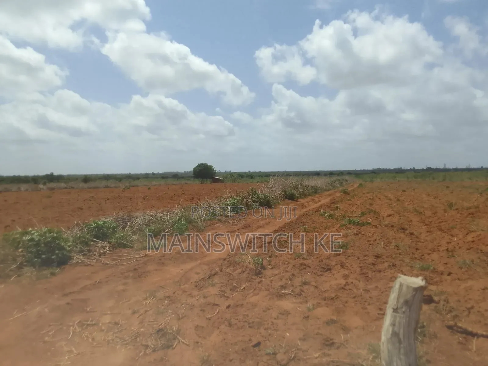 50 Acres Parcel Going For Only 100,000 Per Acre in Magarini