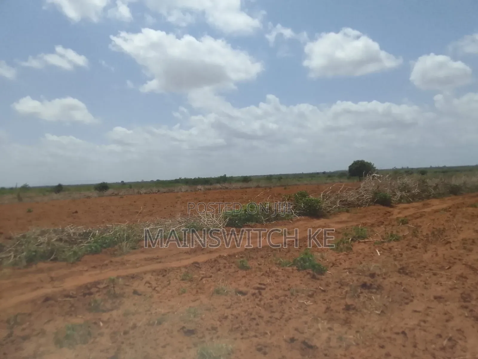 50 Acres Parcel Going For Only 100,000 Per Acre in Magarini