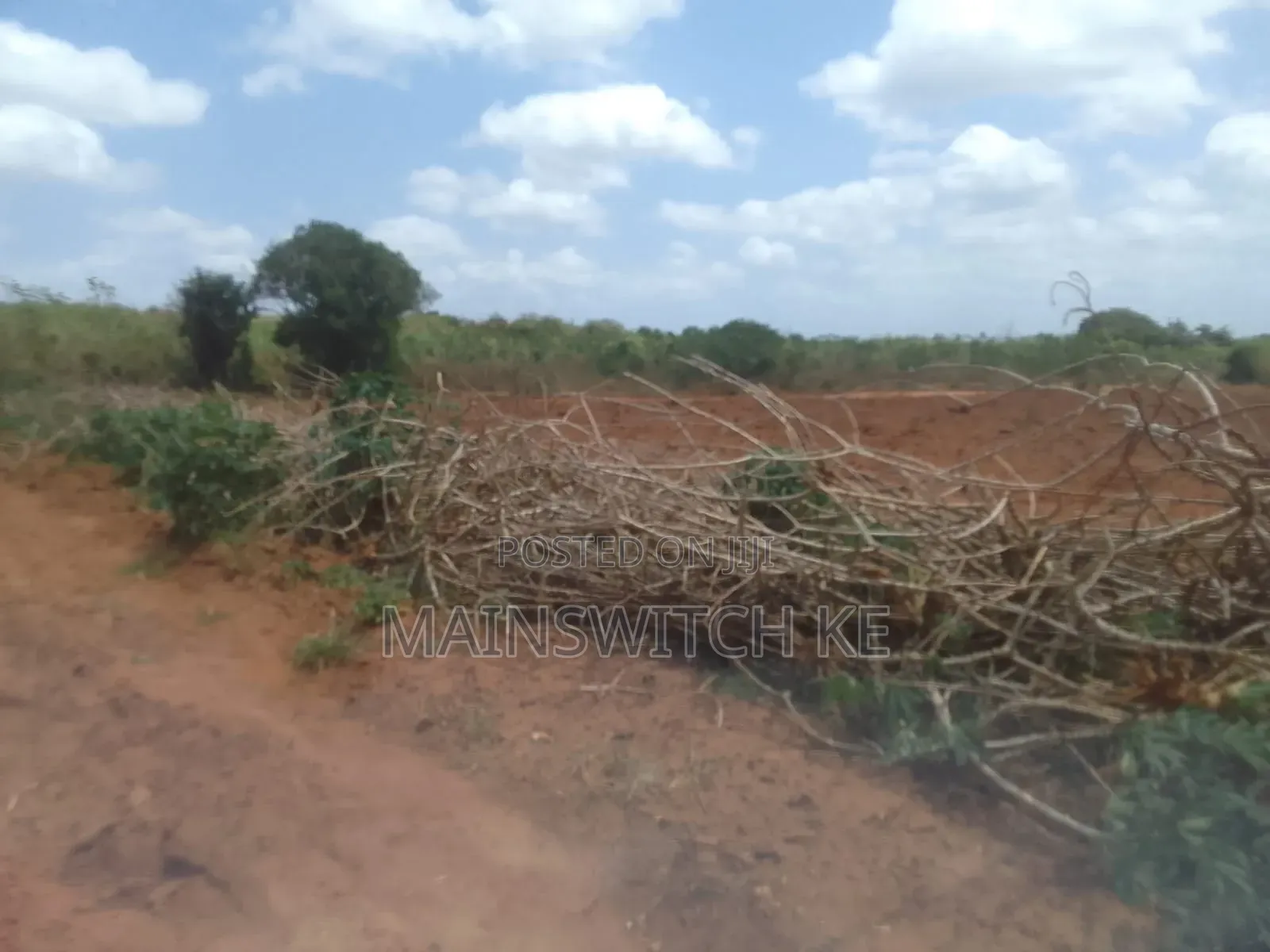 50 Acres Parcel Going For Only 100,000 Per Acre in Magarini