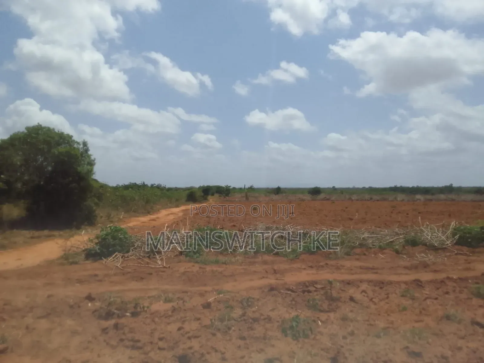 50 Acres Parcel Going For Only 100,000 Per Acre in Magarini