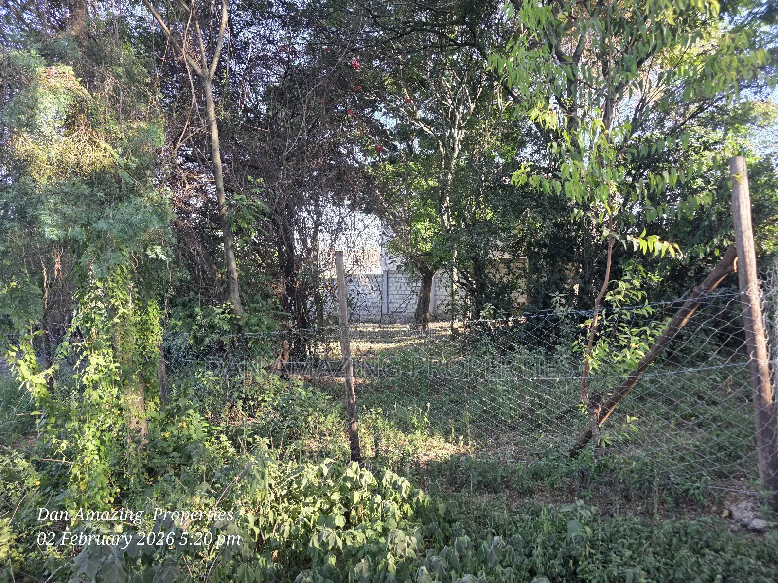 1/4 Acre in Ngong Olkeri for Sale Ideal for Residential Homes in Ol Keri