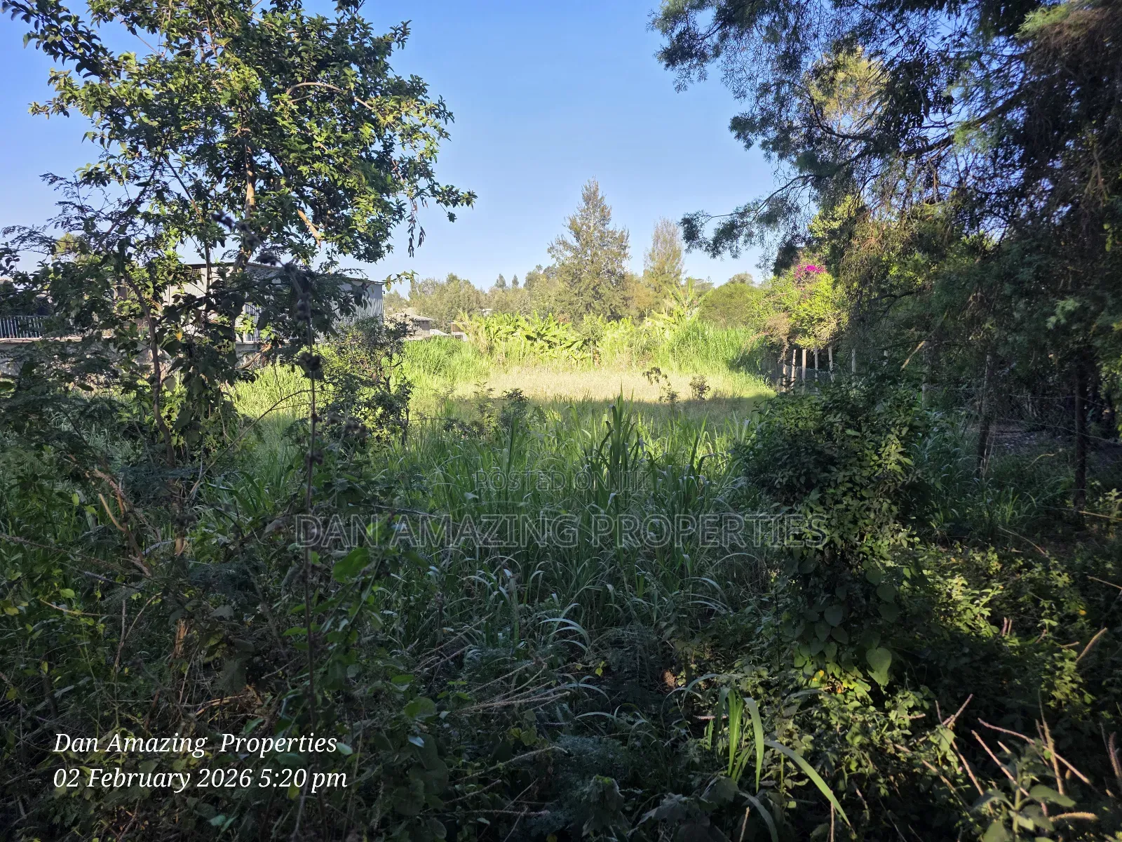 1/4 Acre in Ngong Olkeri for Sale Ideal for Residential Homes in Ol Keri