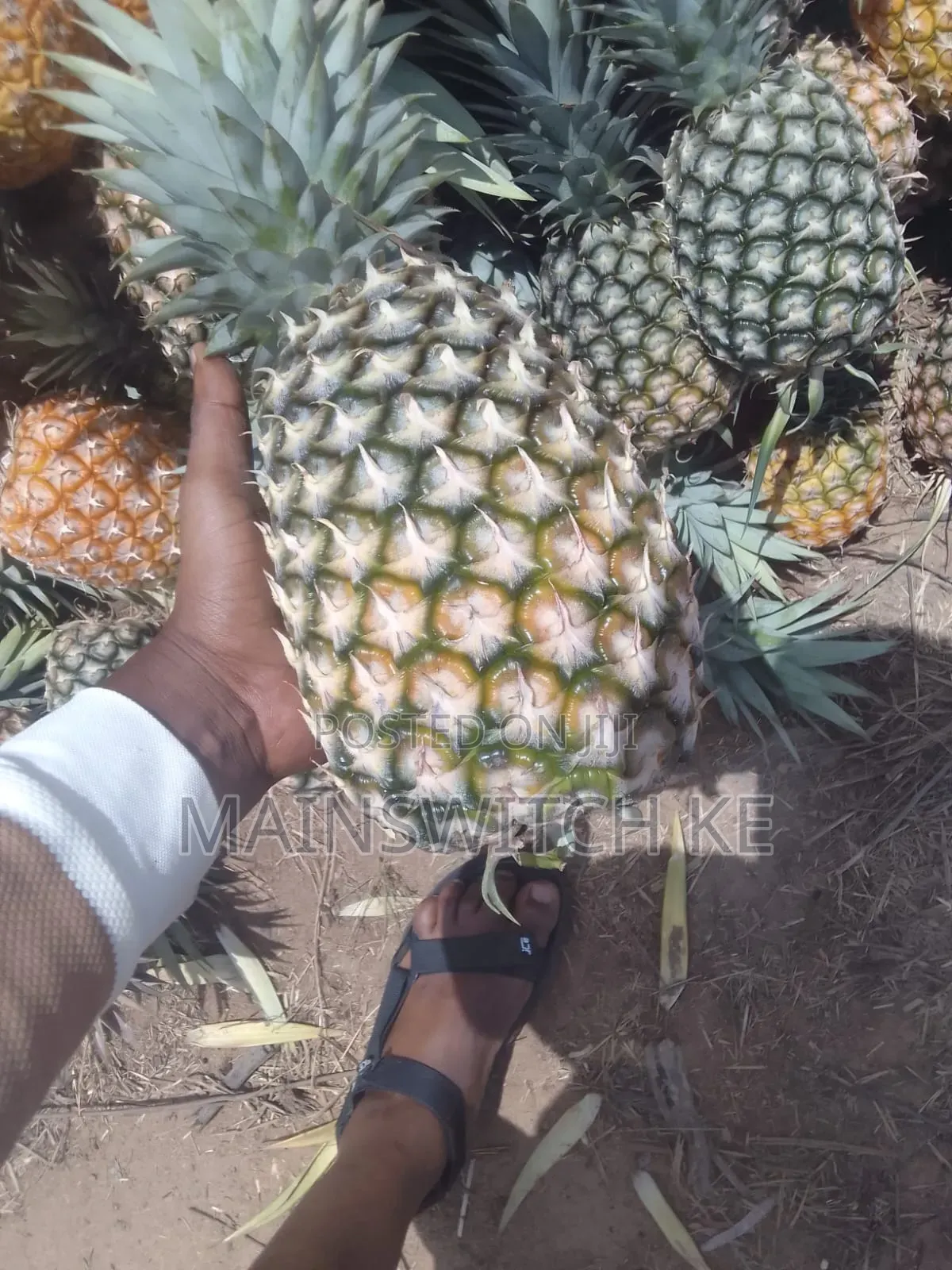 39.5 Acres With Adjudication Numbers Waiting for Tittle Deed for Sale in Magarini