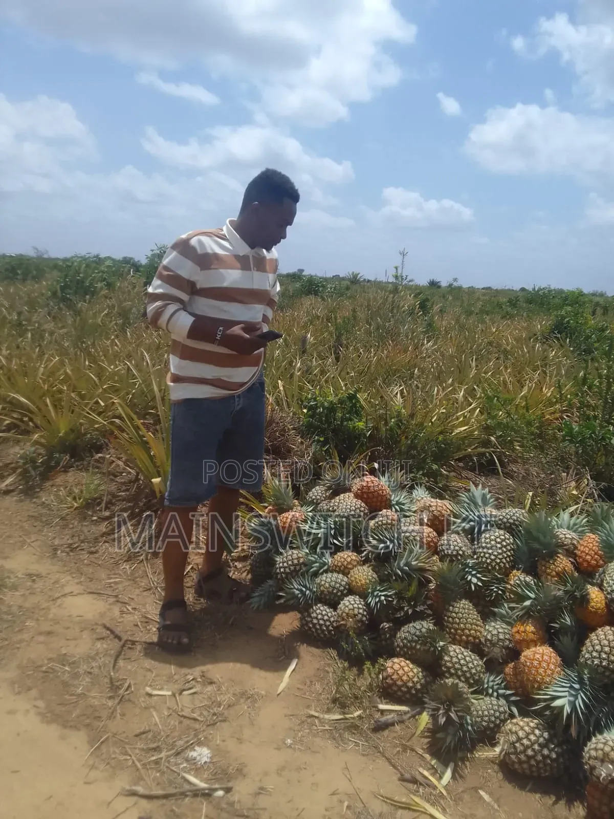 39.5 Acres With Adjudication Numbers Waiting for Tittle Deed for Sale in Magarini