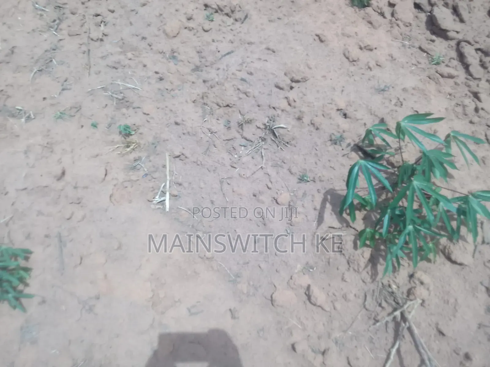 27 Acres A Fertile Land For Cassava, Maize And Pineapples Plantation in Magarini